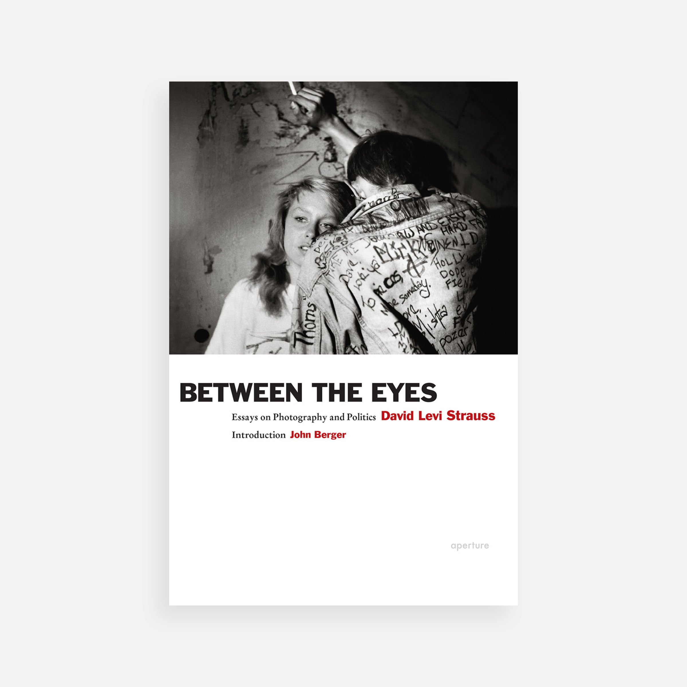 David Levi Strauss: Between the Eyes