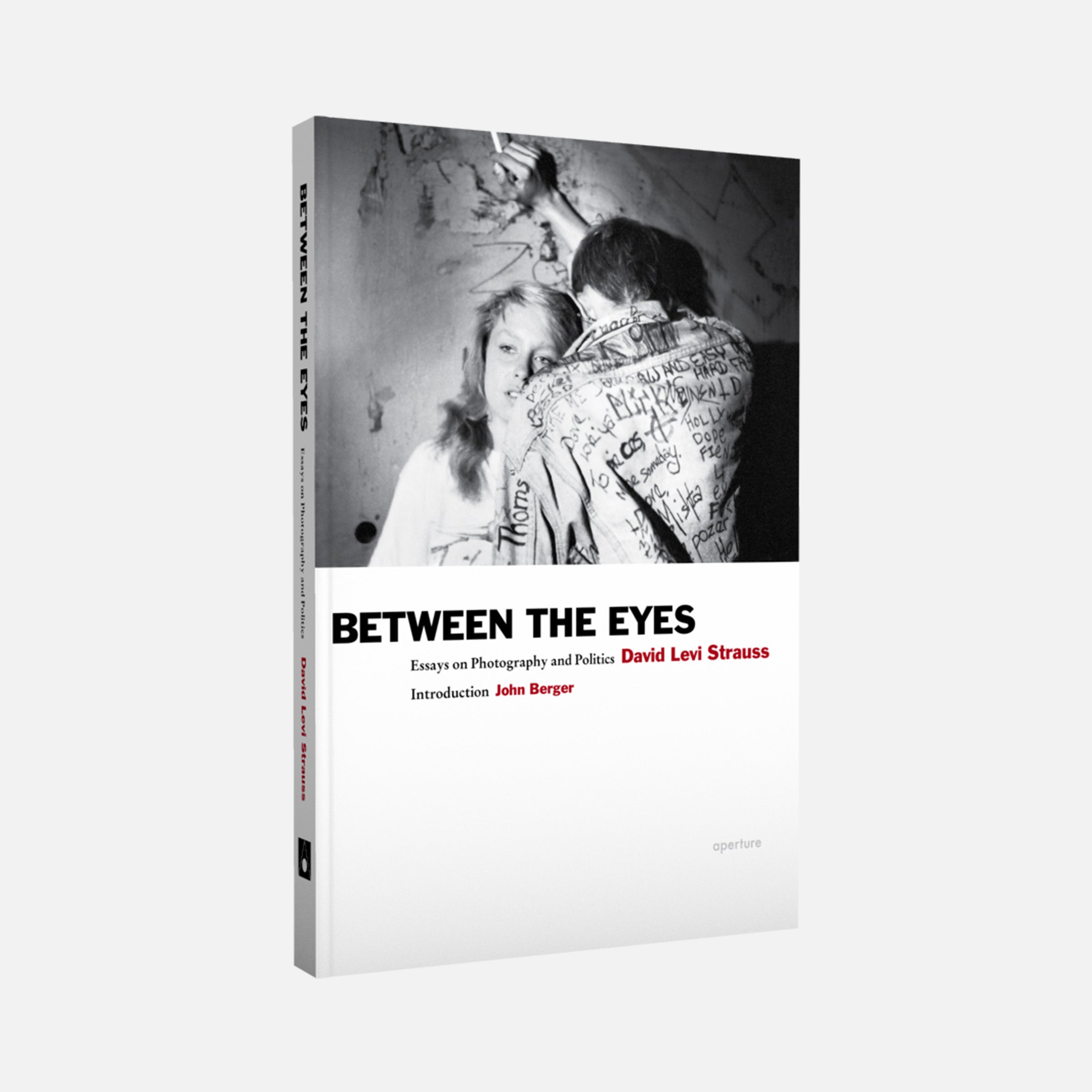 David Levi Strauss: Between the Eyes