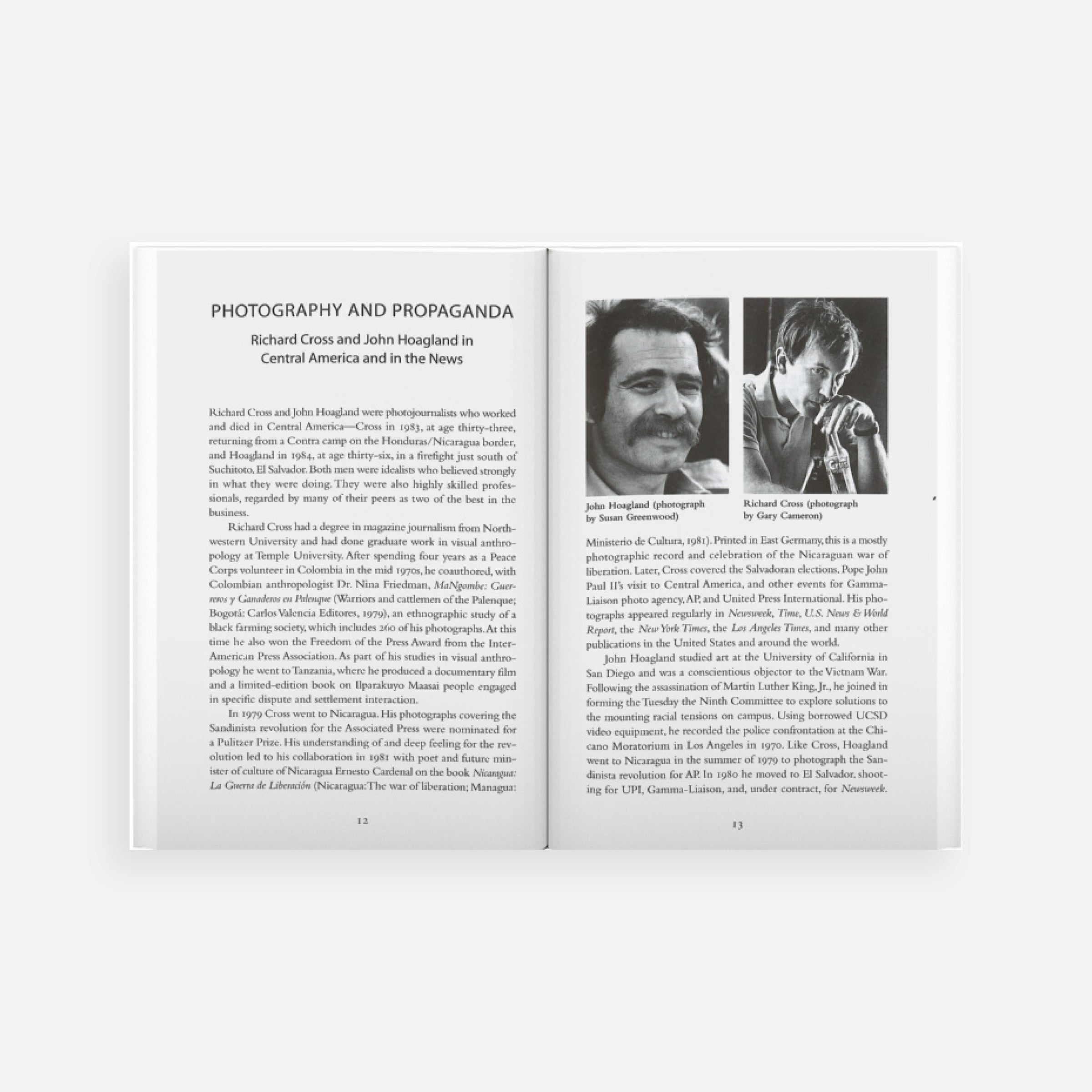 David Levi Strauss: Between the Eyes