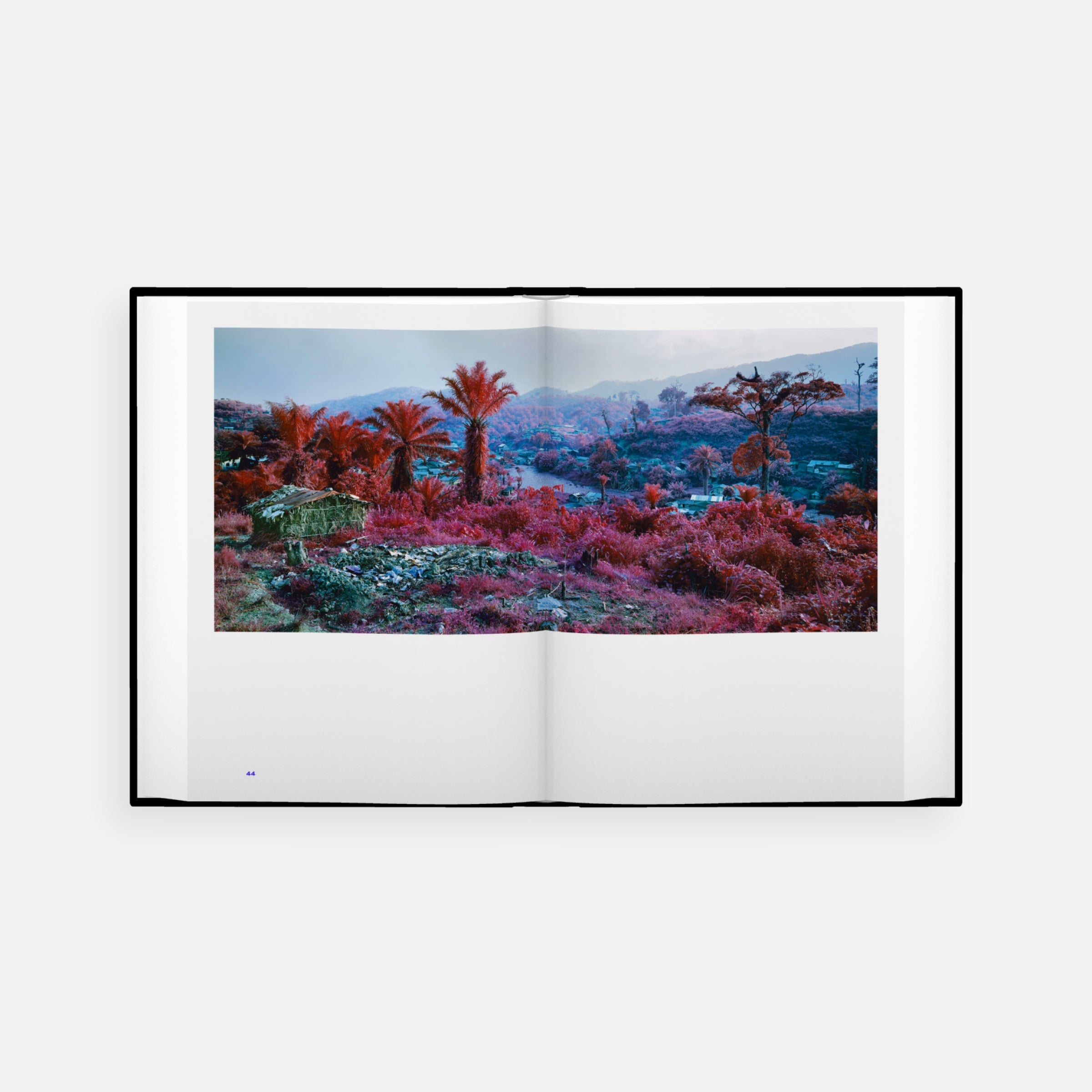 Richard Mosse: The Enclave