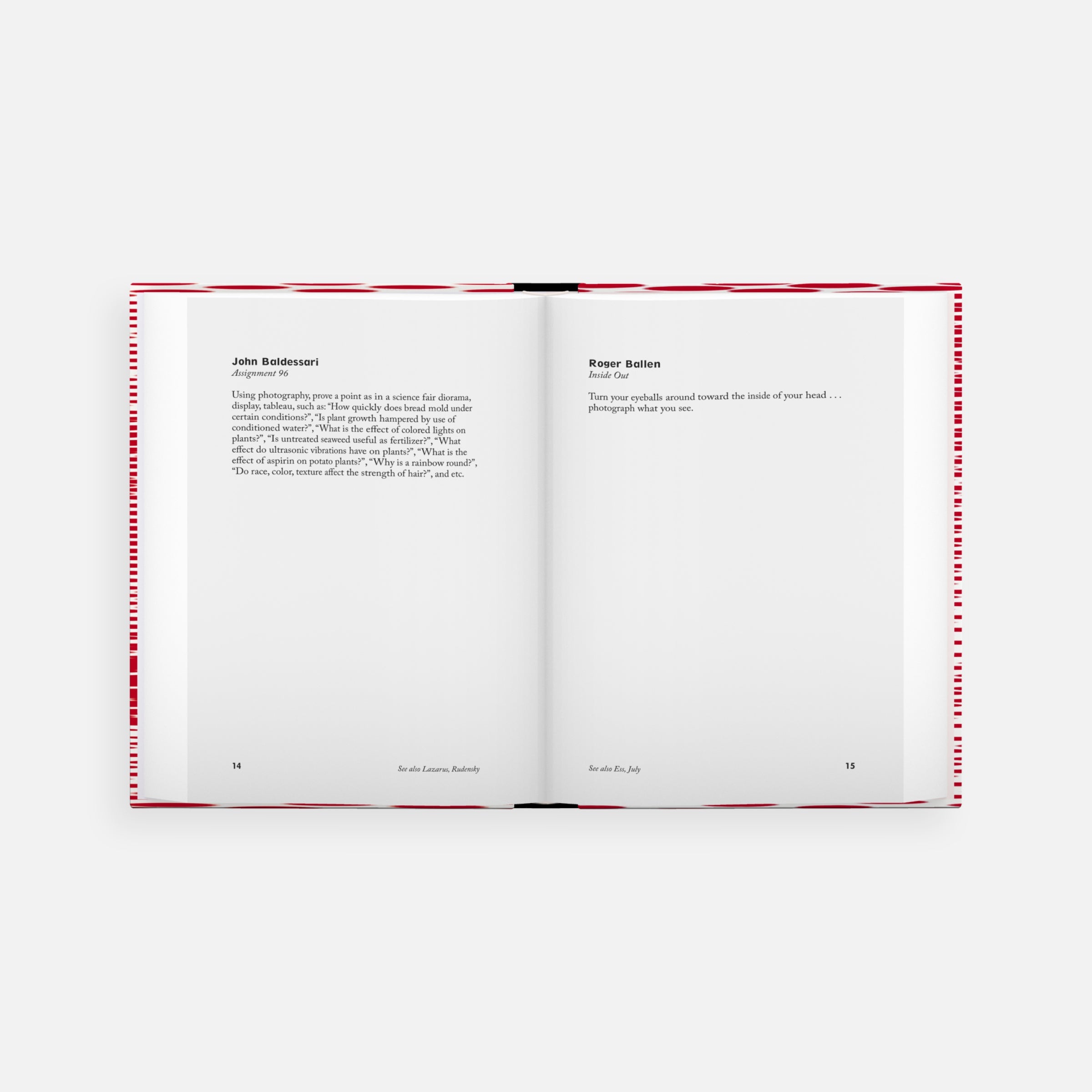 The Photographer's Playbook