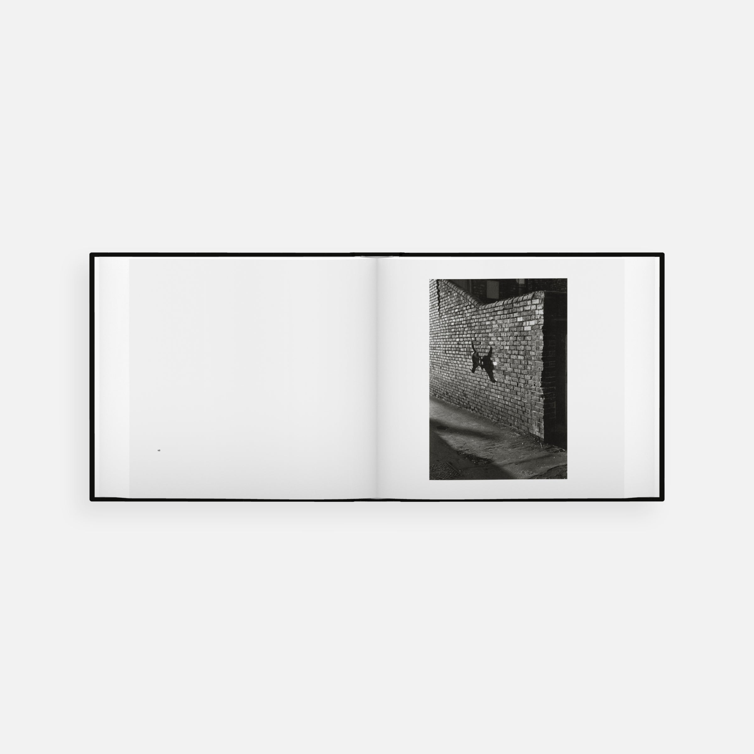 Josef Koudelka: Exiles