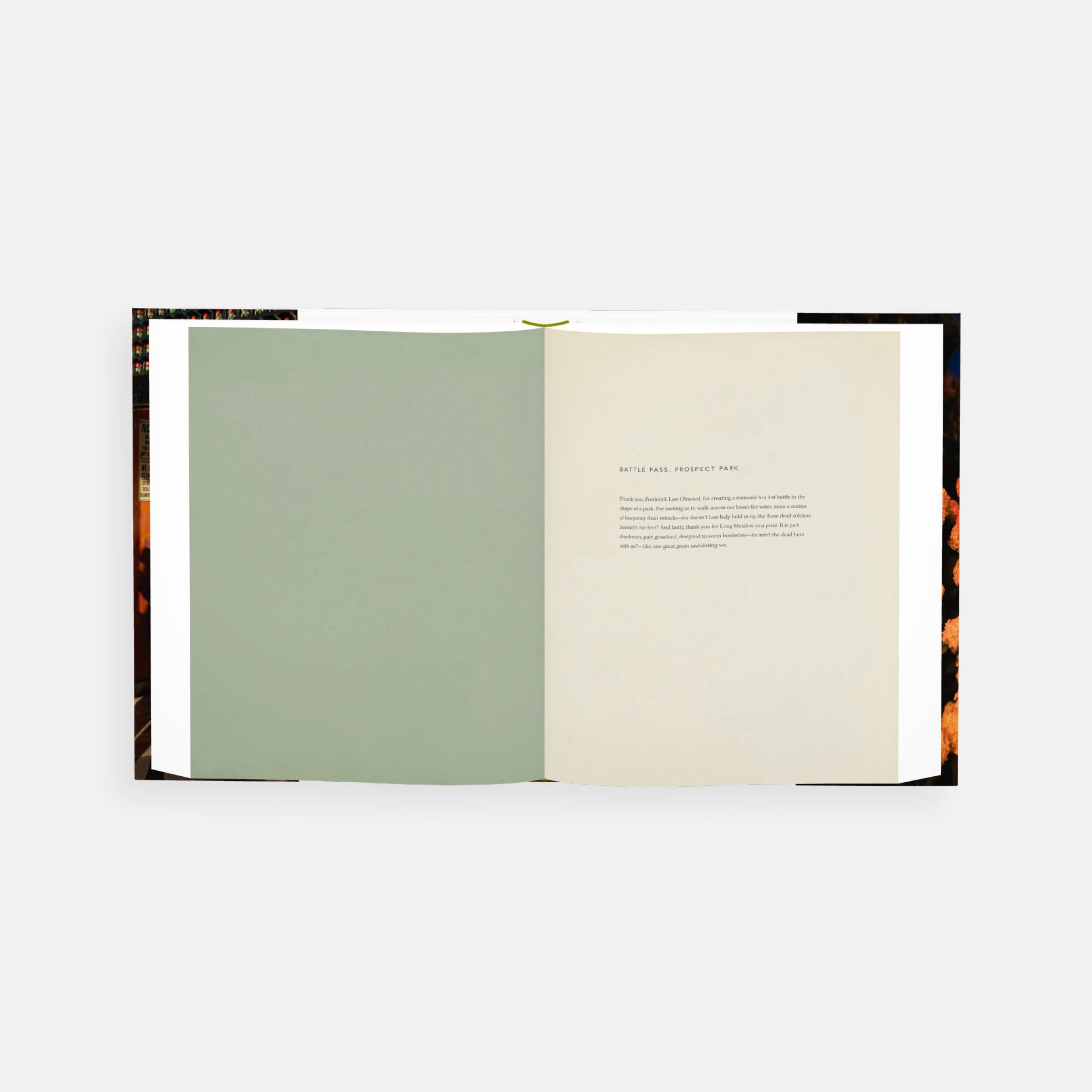 Alex Webb and Rebecca Norris Webb: Brooklyn, The City Within