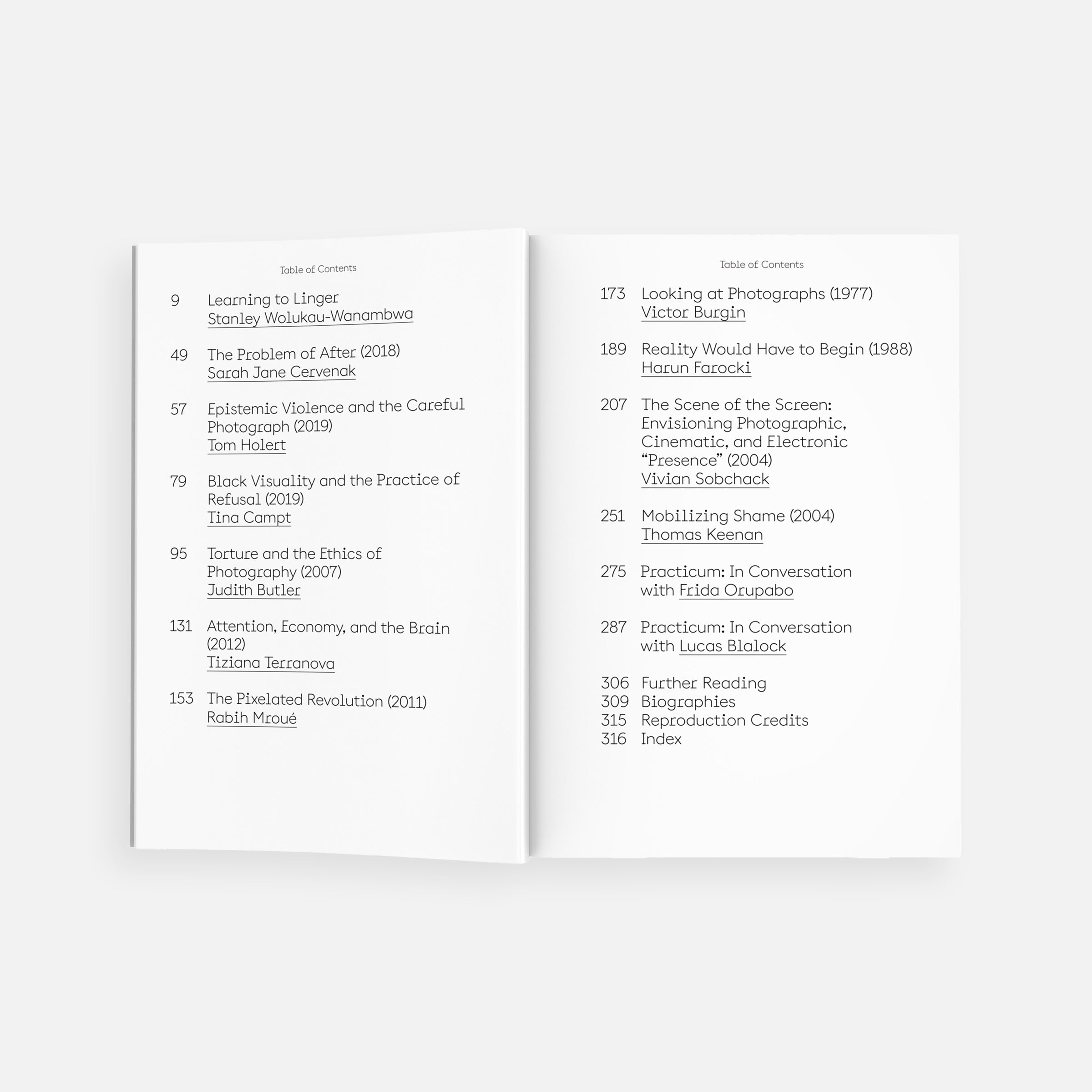 The Lives of Images, Vol. 2: Analogy, Attunement, and Attention