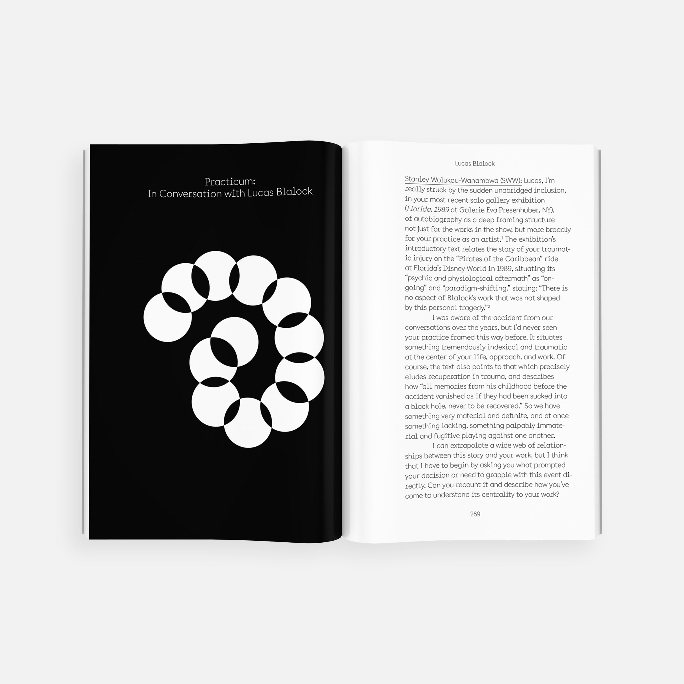 The Lives of Images, Vol. 2: Analogy, Attunement, and Attention