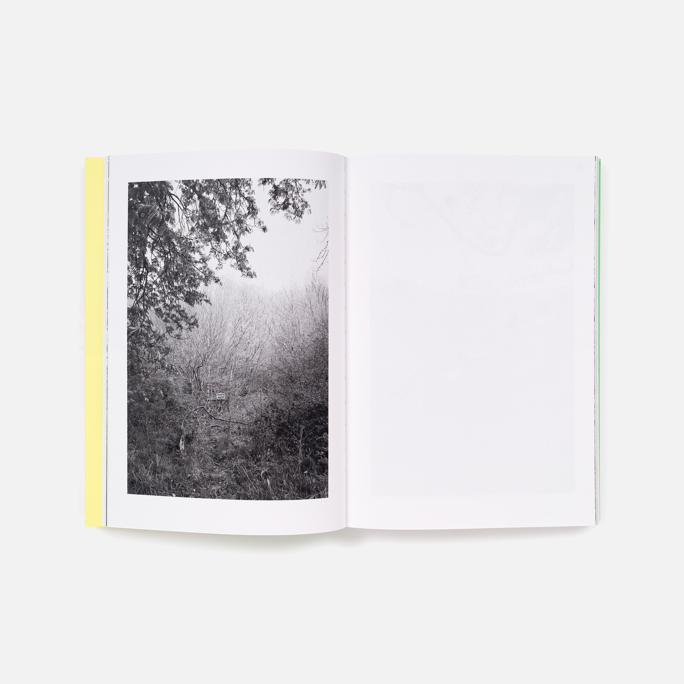 Sam Contis: Overpass