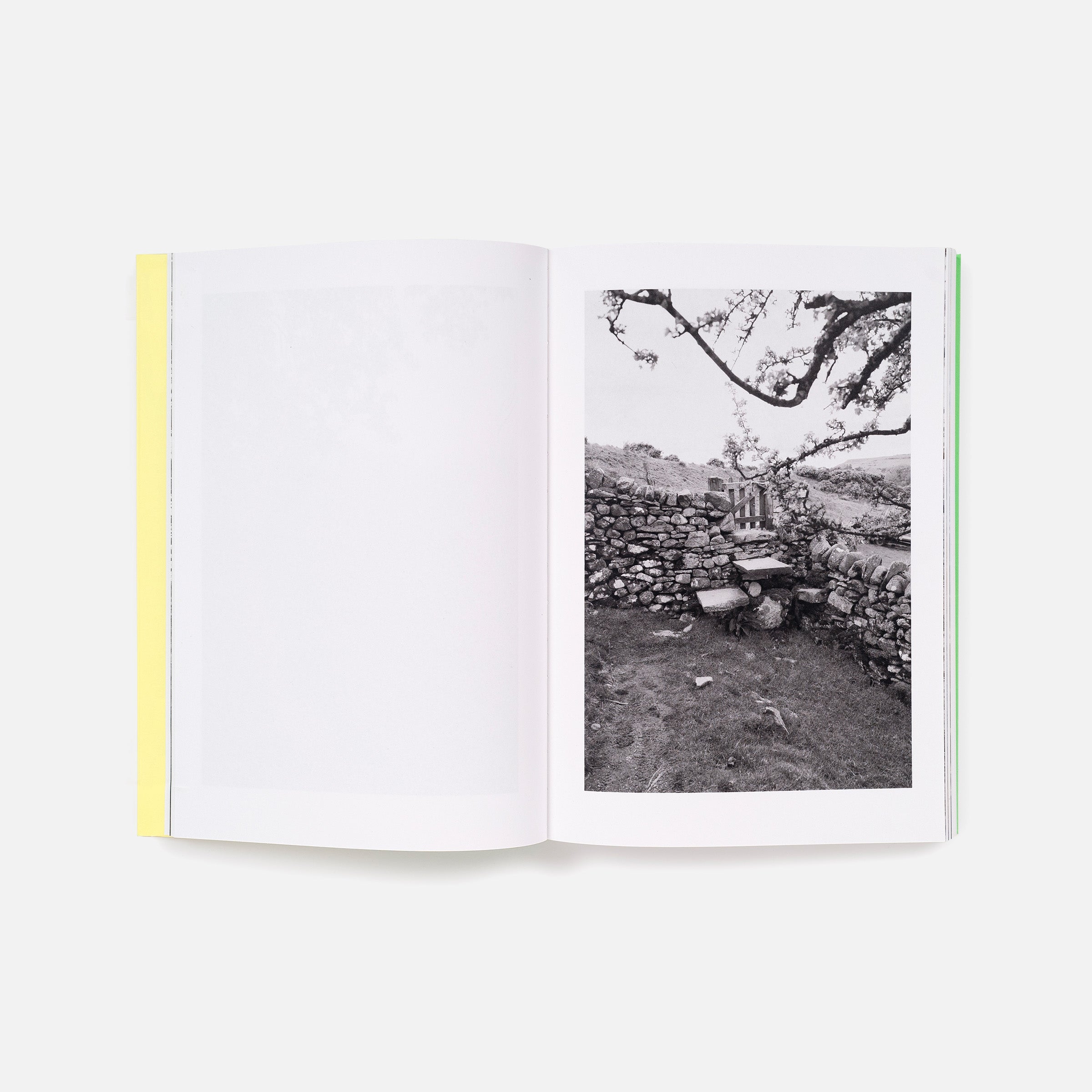 Sam Contis: Overpass