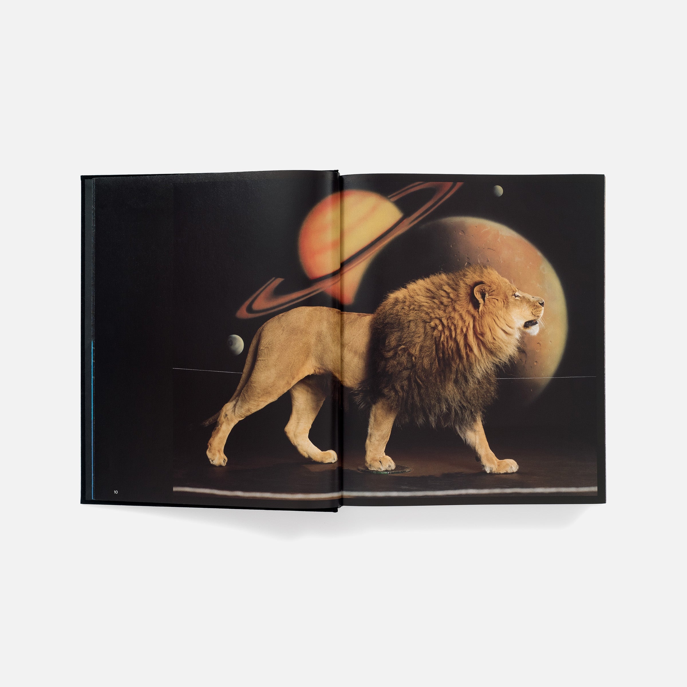 Awol Erizku: Mystic Parallax