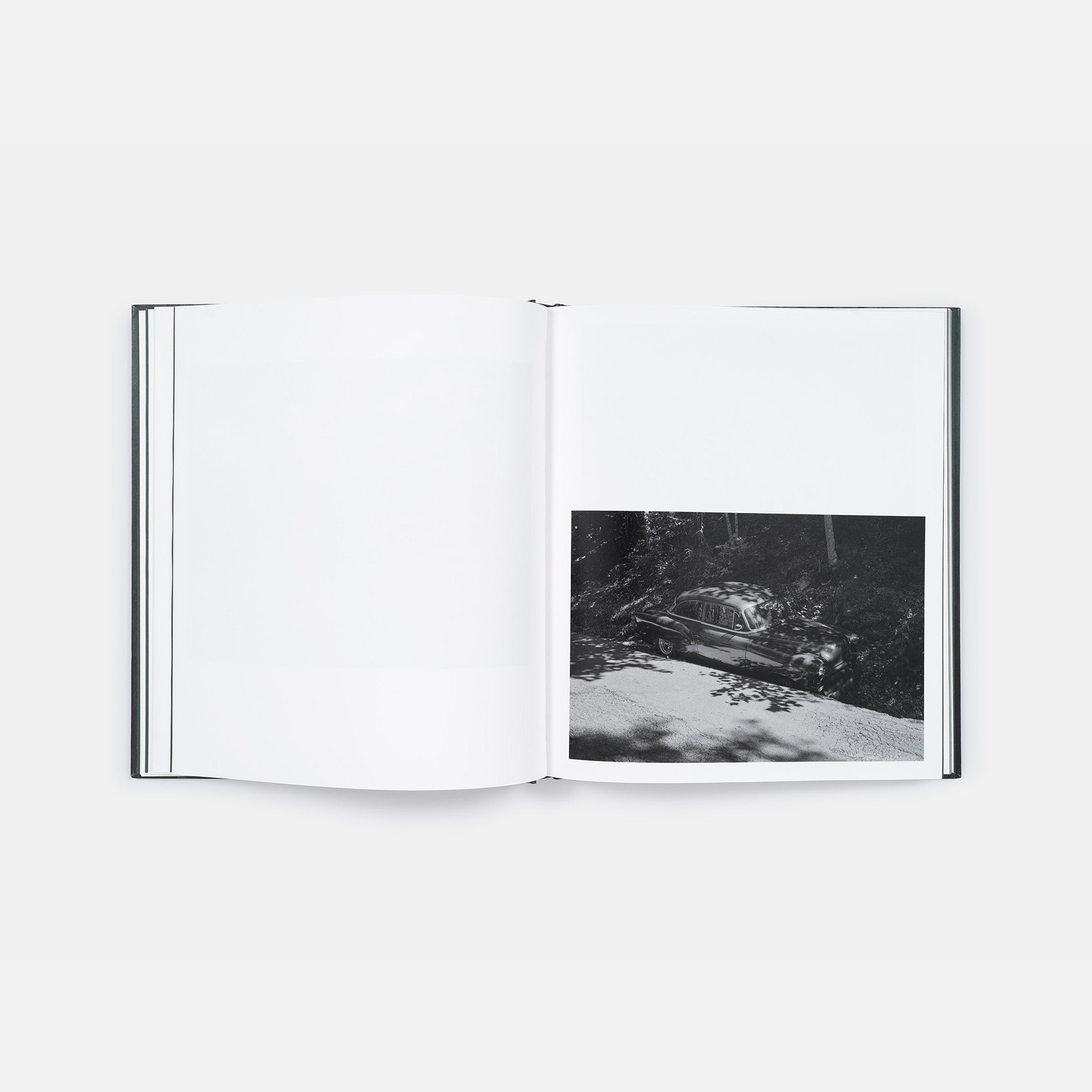 Kristine Potter: Dark Waters