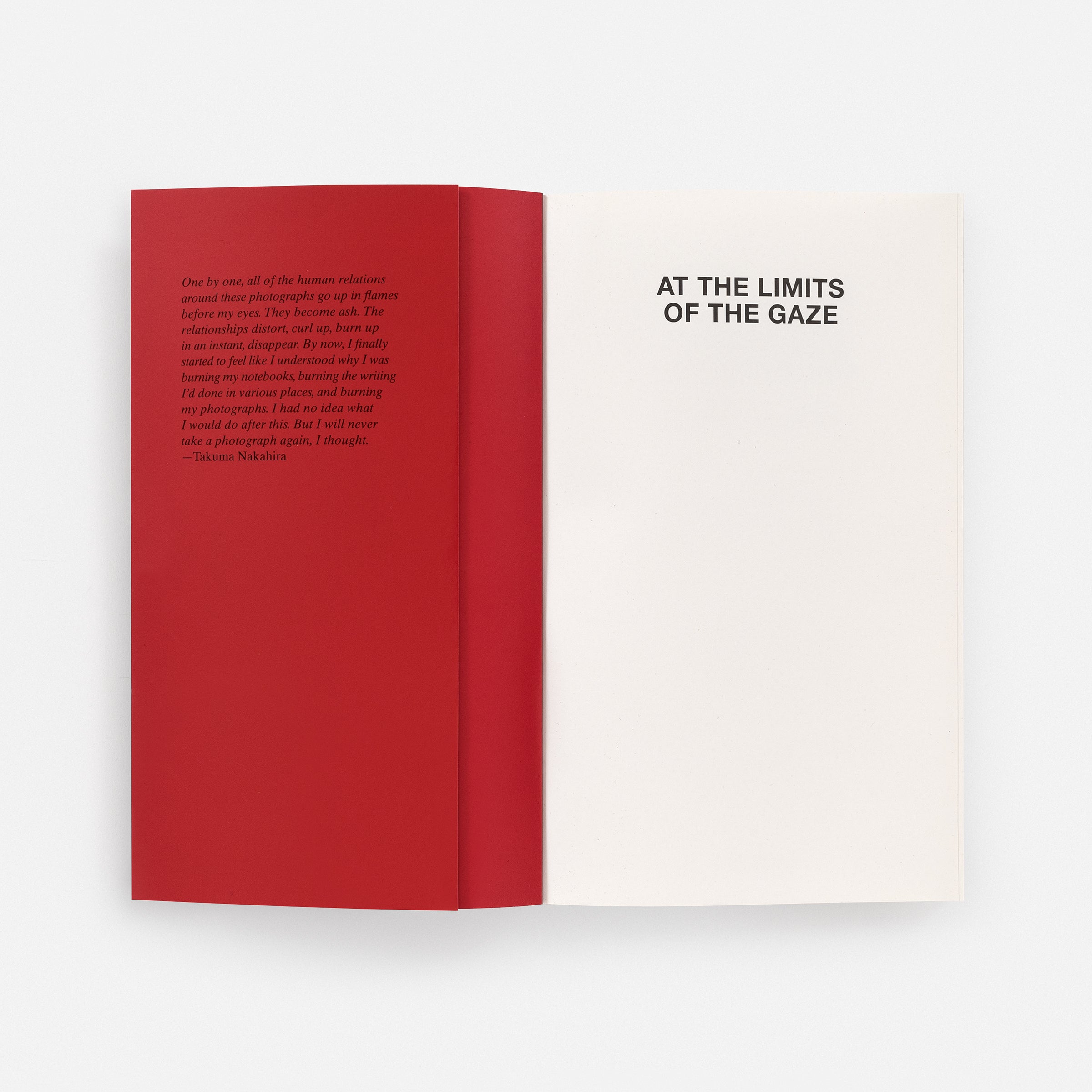 At the Limits of the Gaze