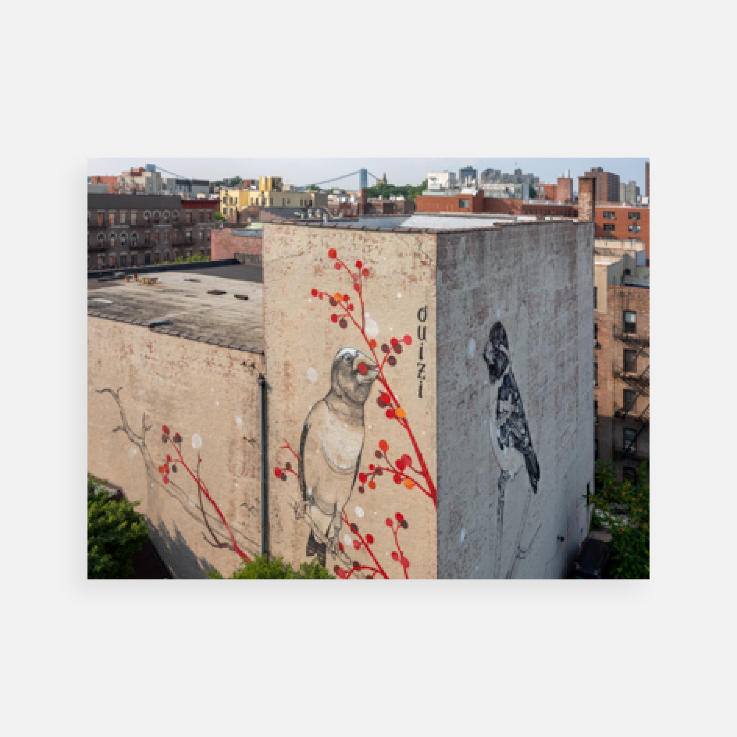 Gail Albert Halaban: Audubon Mural Project Prints