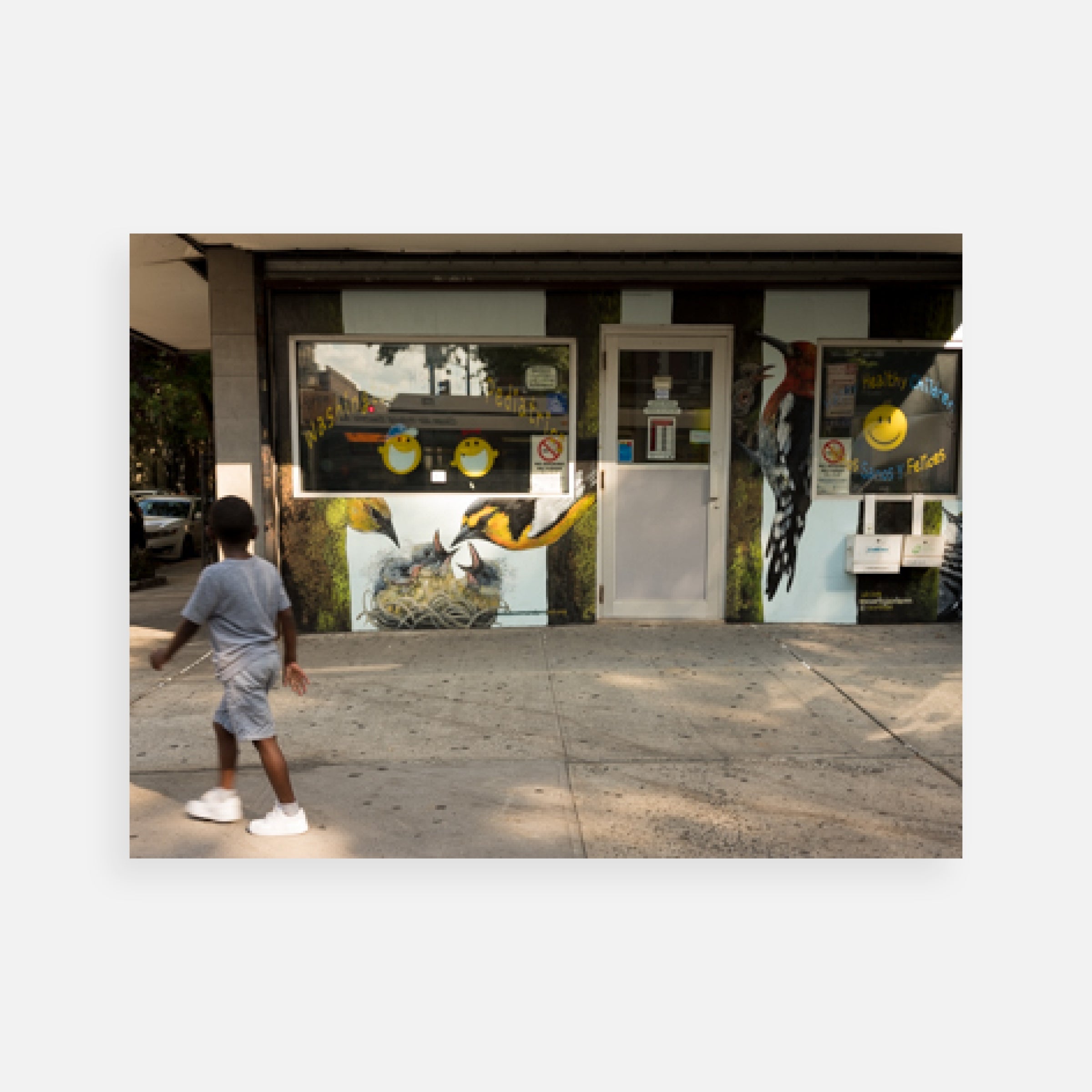 Gail Albert Halaban: Audubon Mural Project Prints