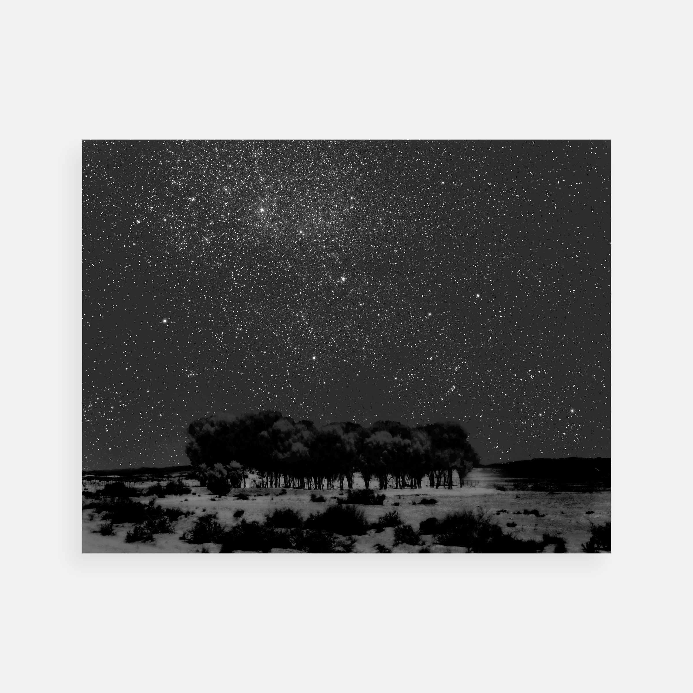 Neil Folberg: Celestial Nights Portfolio: Olive Tree; Starry Grove; Sagittarius
