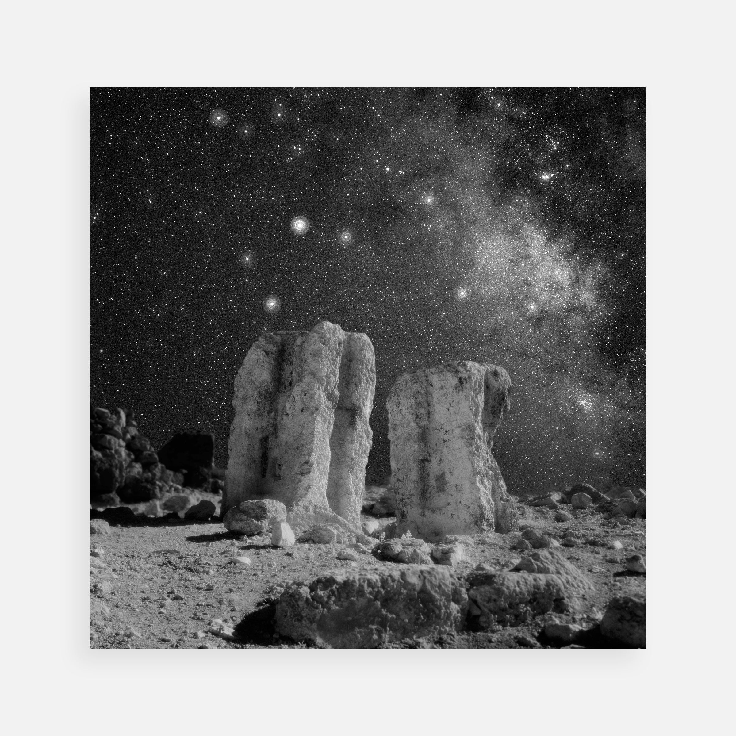 Neil Folberg: Celestial Nights Portfolio: Olive Tree; Starry Grove; Sagittarius