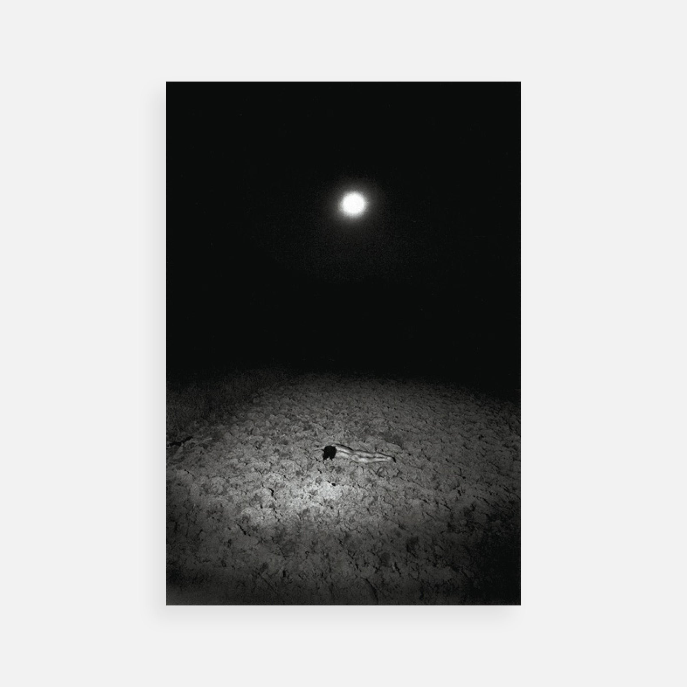 Eikoh Hosoe: Awakenings Portfolio