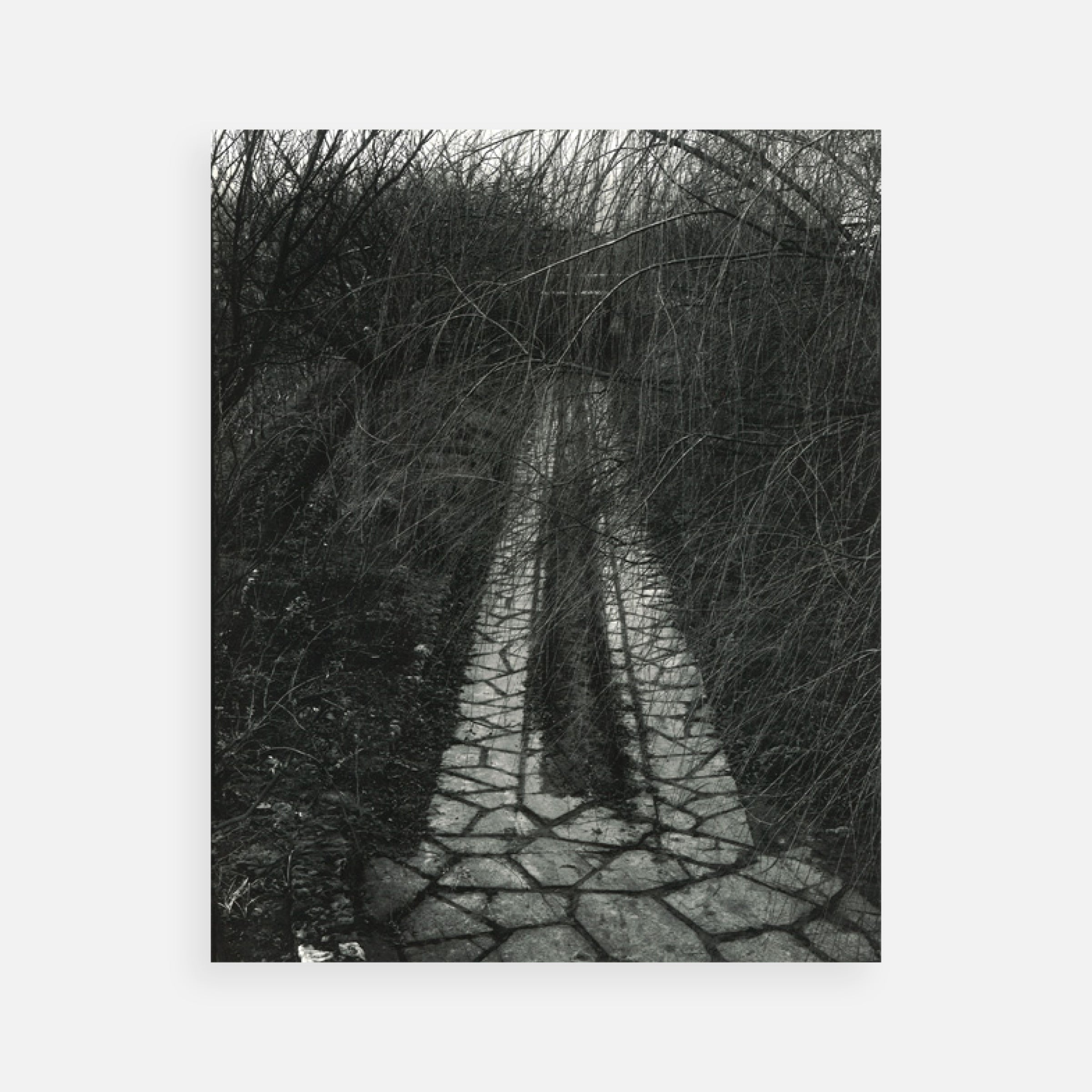 Paul Strand: Portfolio Two