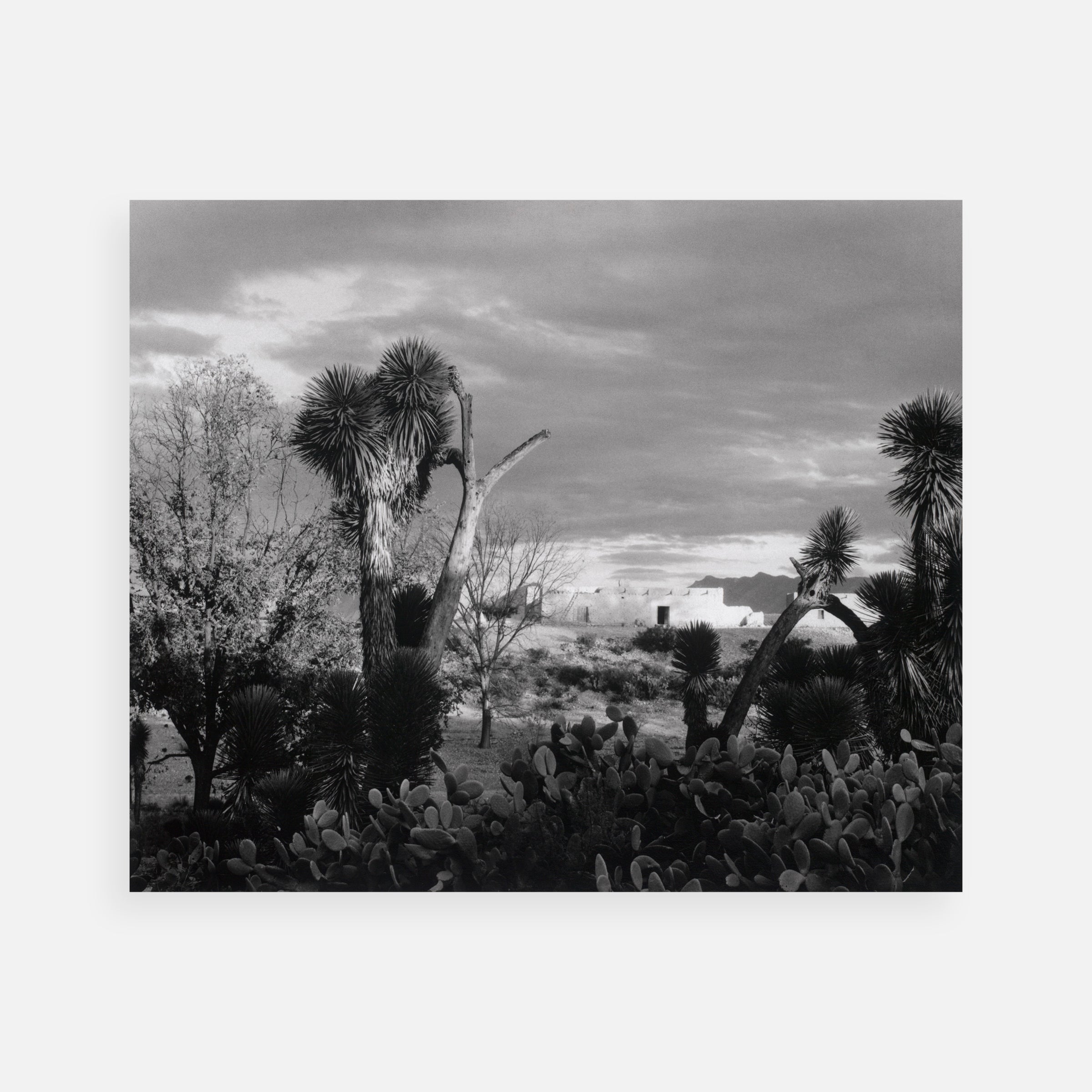 Paul Strand in Mexico Limited-Edition Box Set