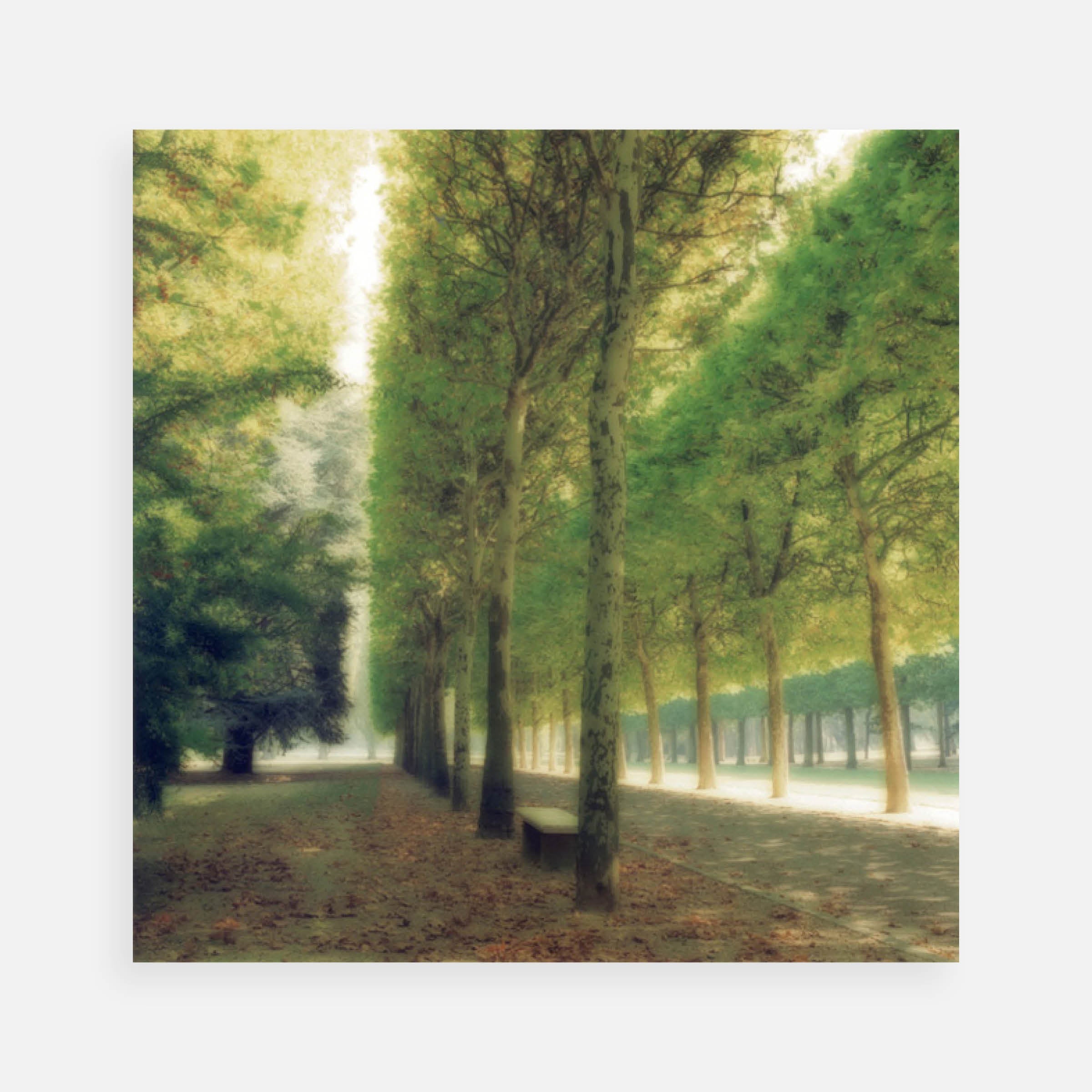 Lynn Geesaman: Parc de Sceaux, France, 1997
