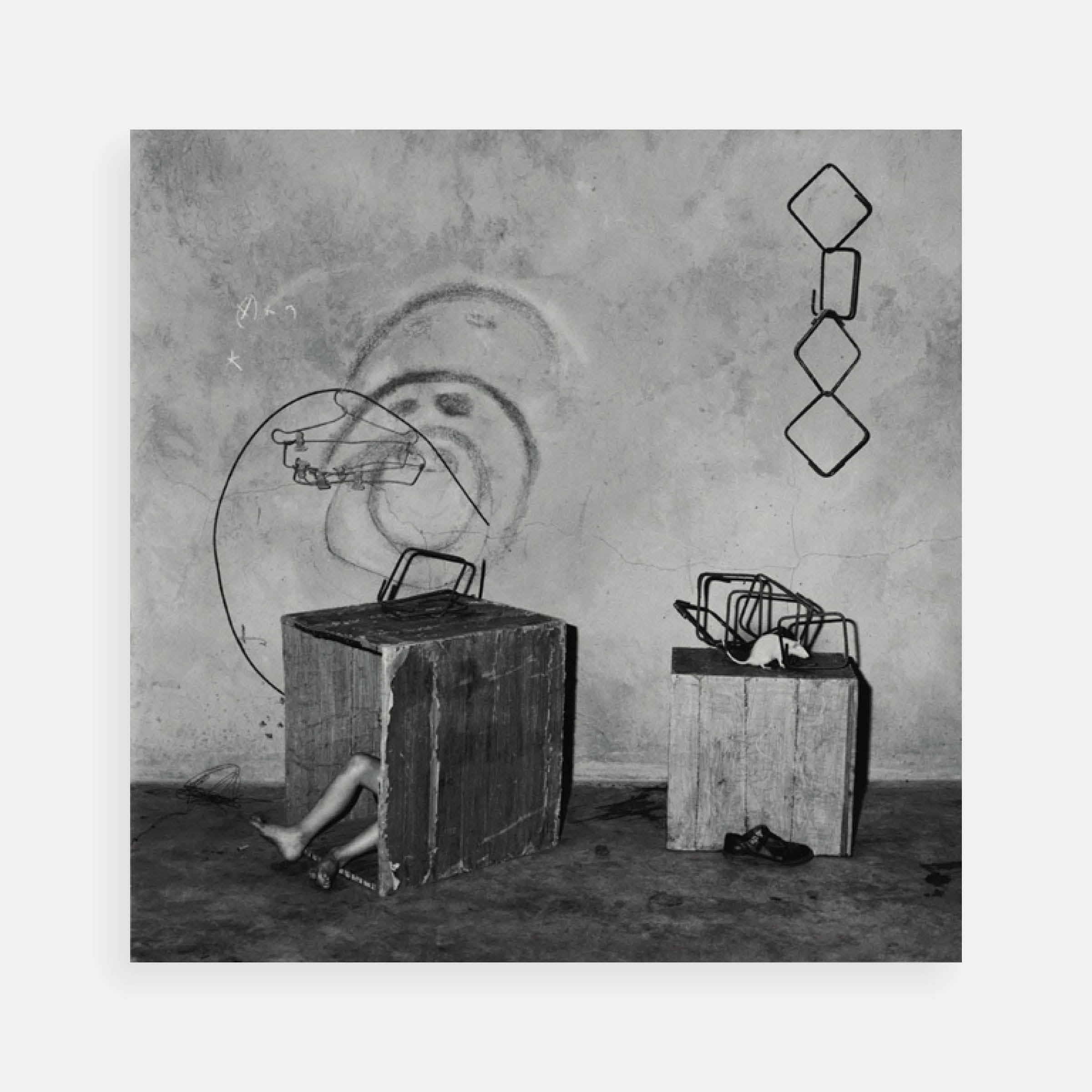 Roger Ballen: Hideaway, 2003