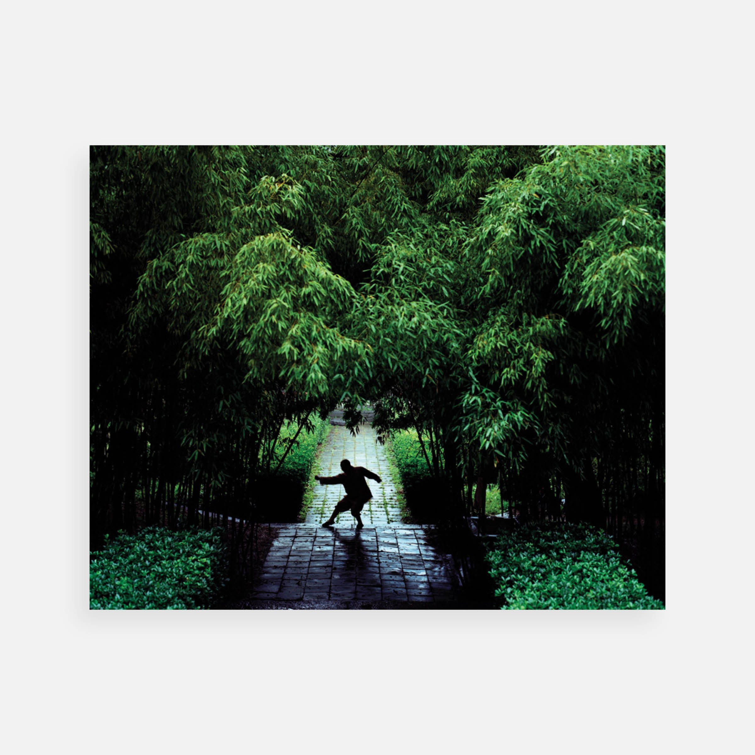 Justin Brice Guariglia: Shi Yan Lang, Tong Jian Quan (Through the Shoulder Fist), 2008