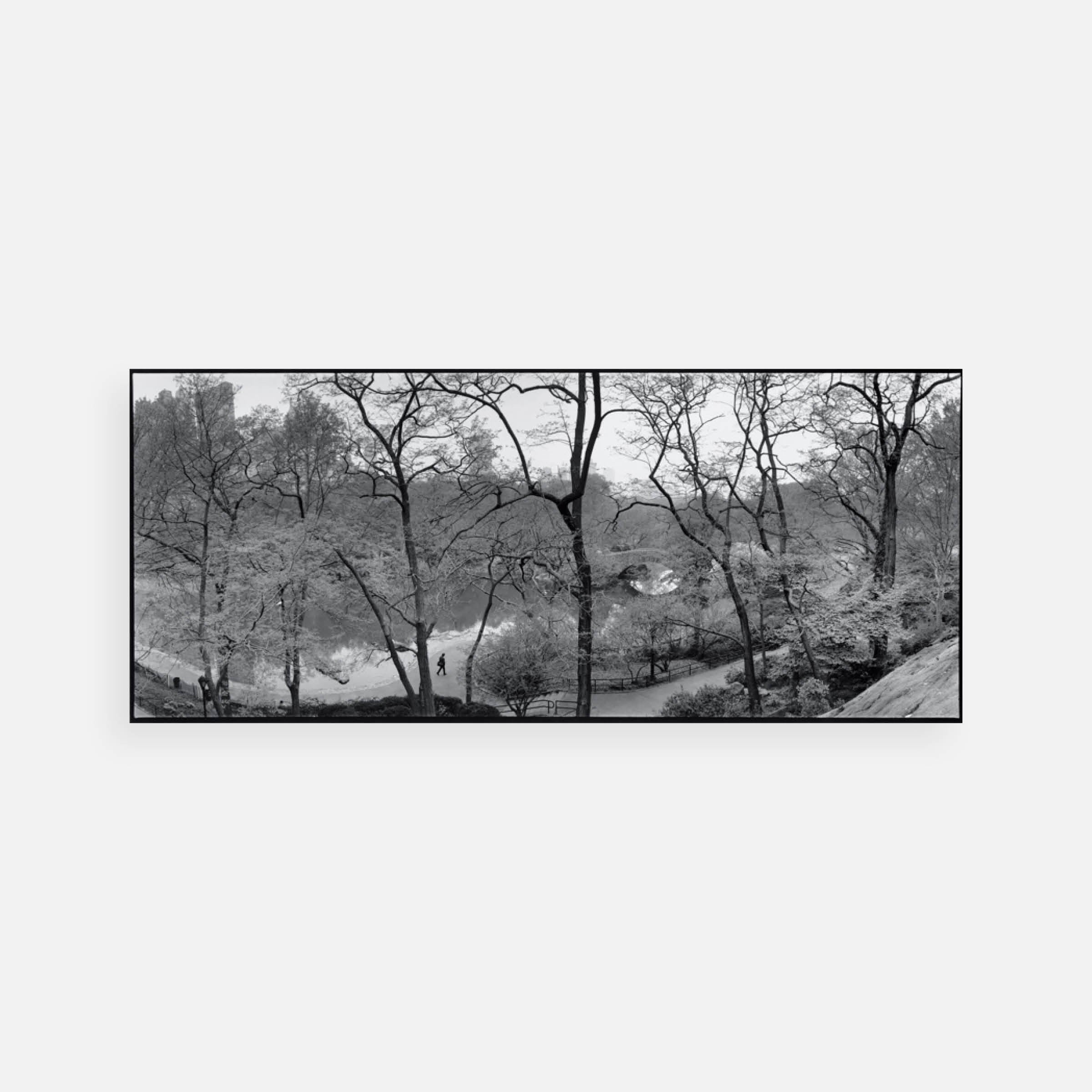 Bruce Davidson: The Pond & Gapstow Bridge, 1992