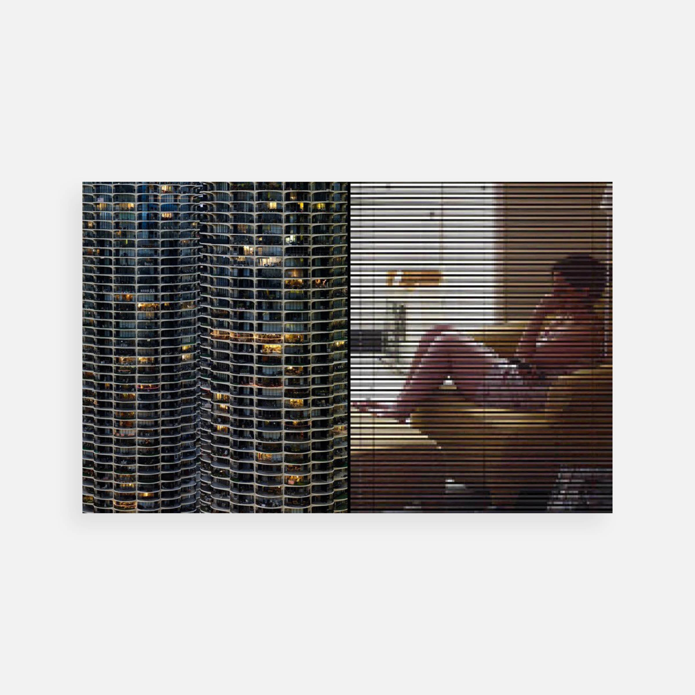 Michael Wolf: TC Composite #1, 2009