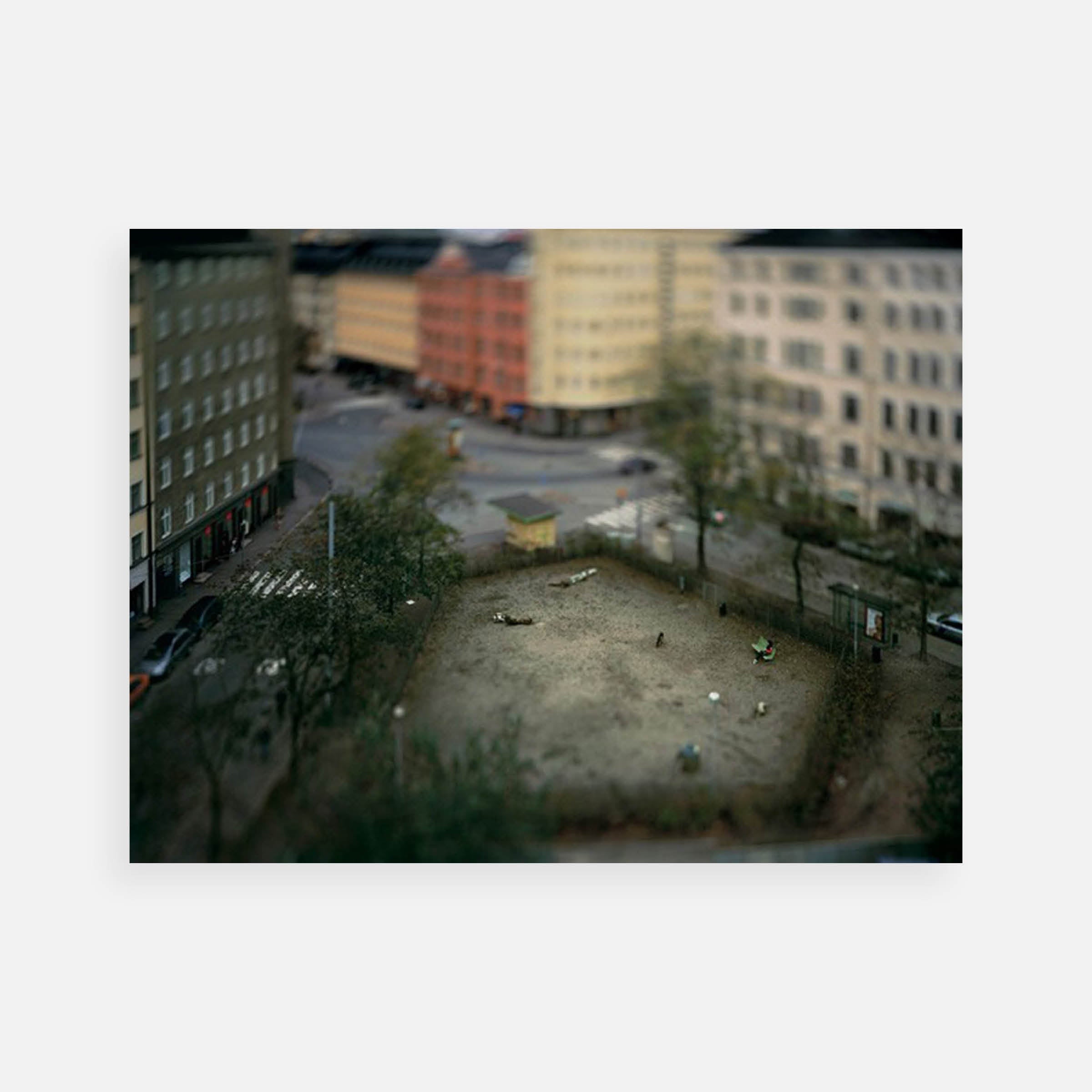 Miklos Gaál: Dog Park, 2006