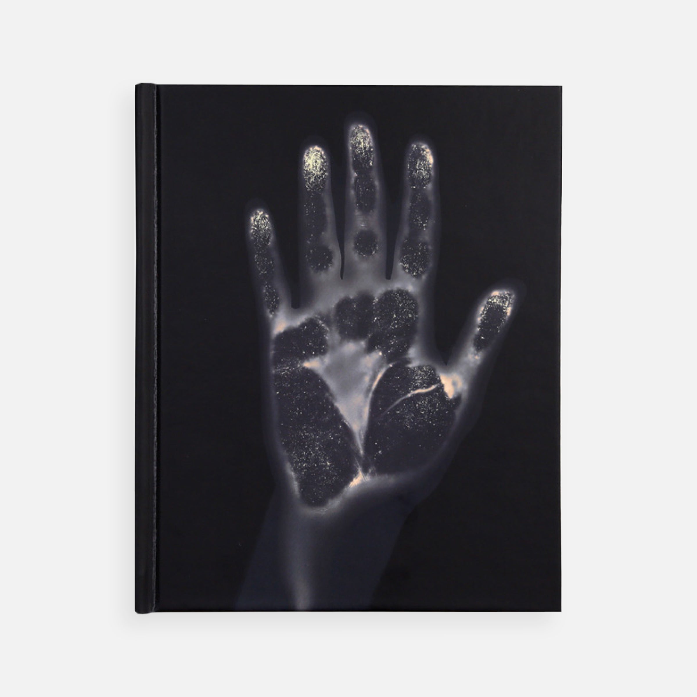 Gary Schneider: HandBook
