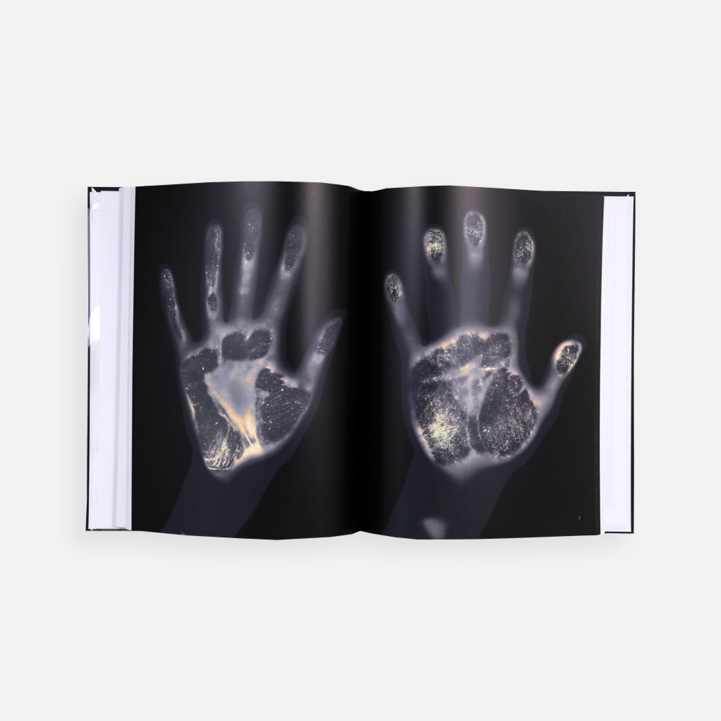 Gary Schneider: HandBook