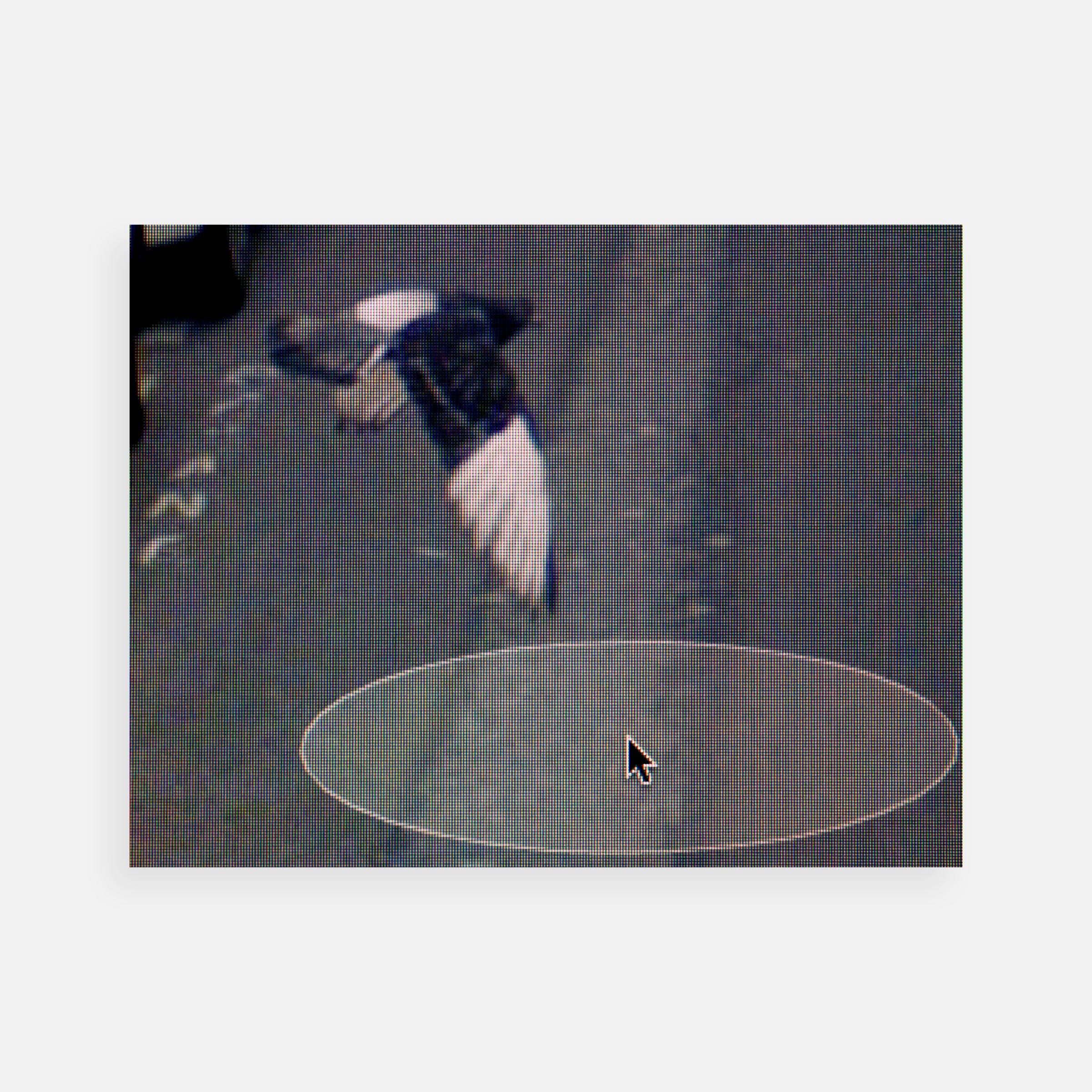Michael Wolf: Street View Triptych #2 (Animals), 2009