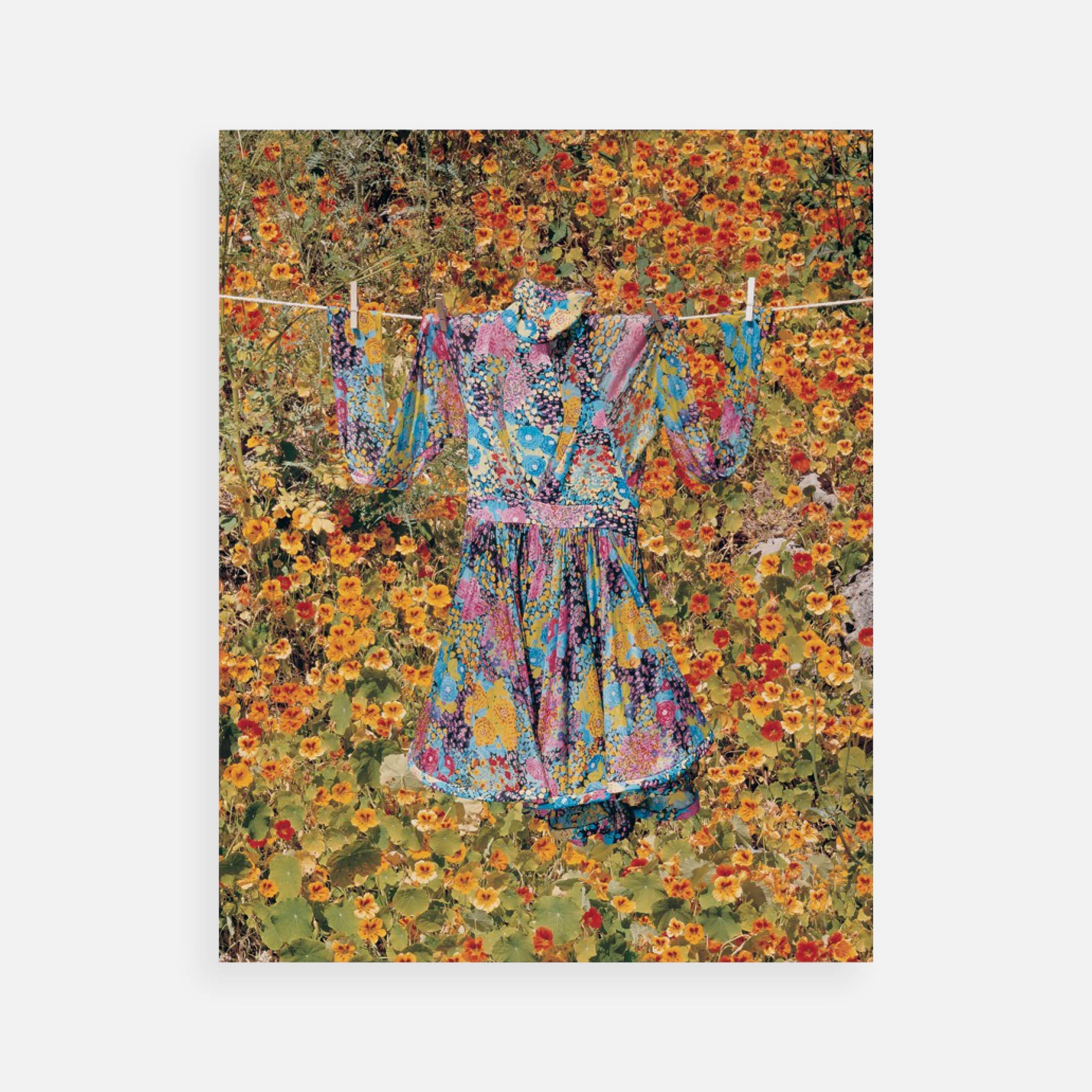 Alfred Seiland: Dress by Nicholas Ghesquiere for Balenciaga, from “Hanging Gardens: When the Bloom is on the Line,” 2004