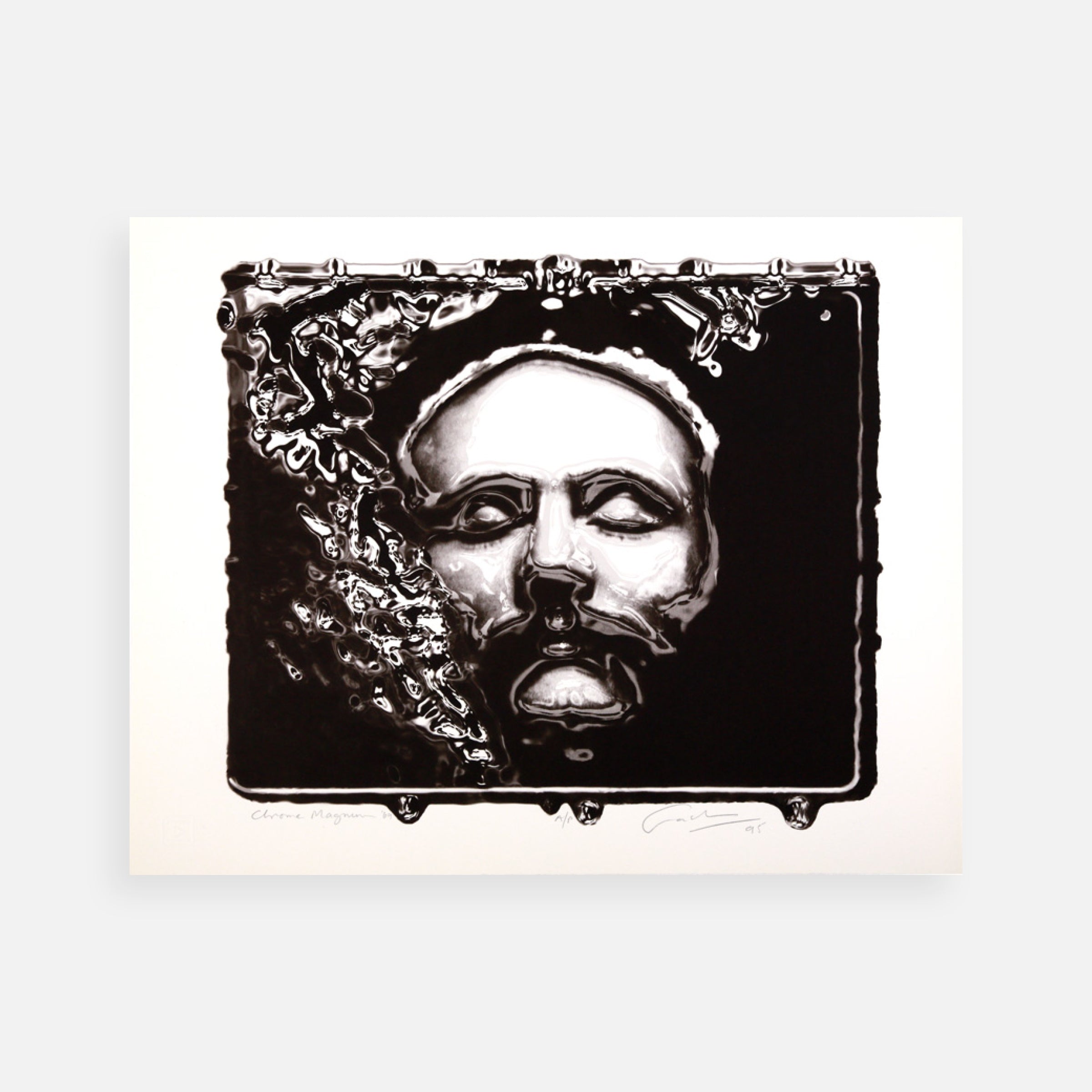 Metamorphoses Portfolio