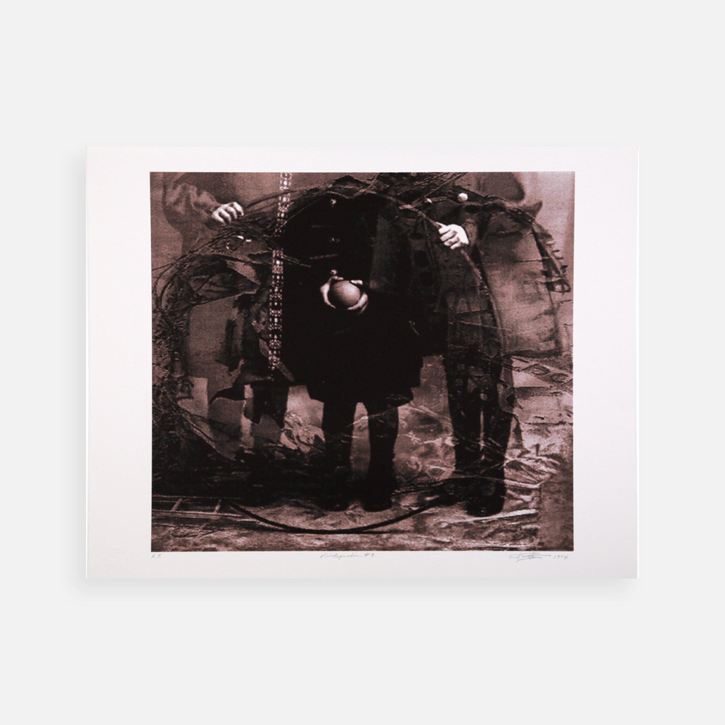 Metamorphoses Portfolio