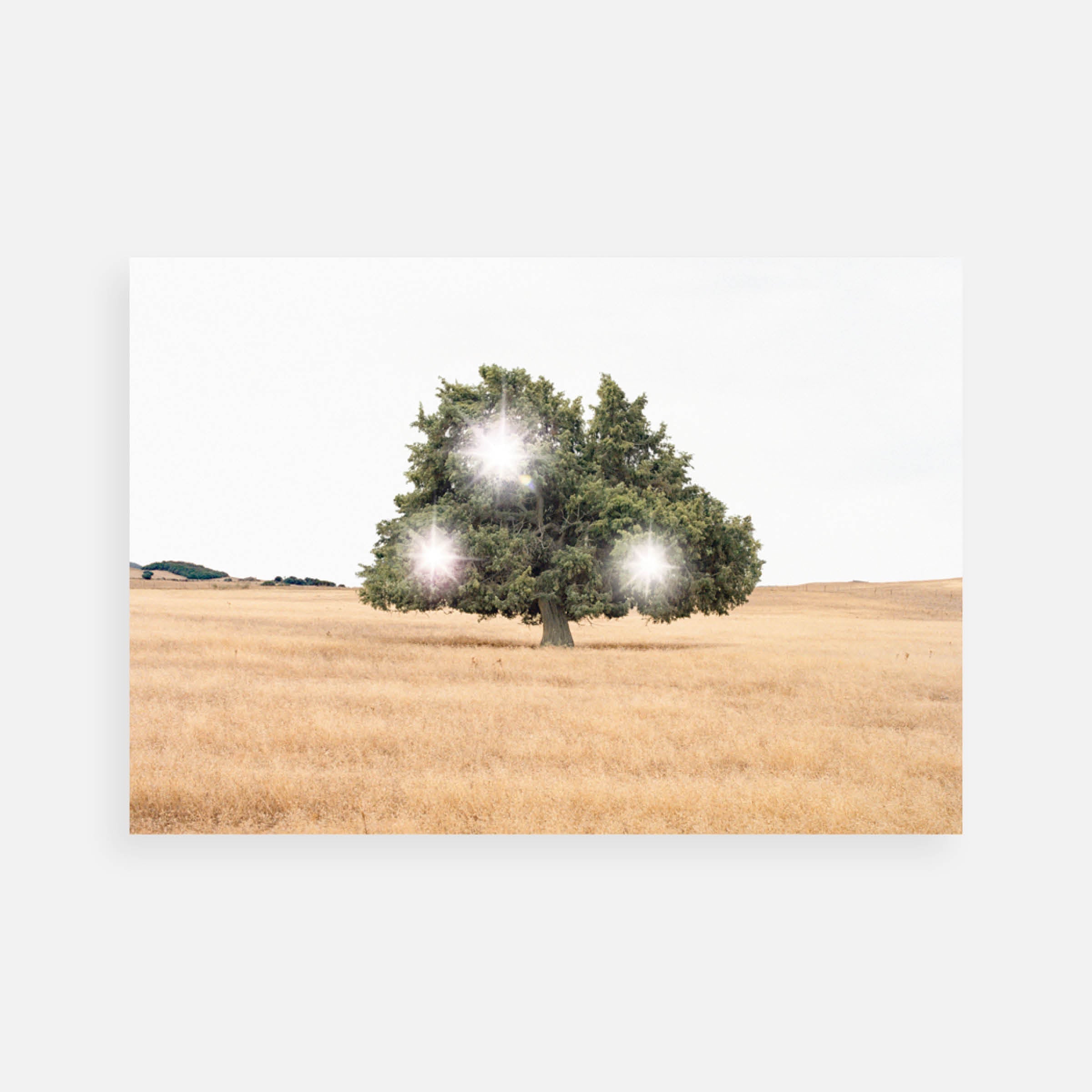 Andrea Galvani: Death of an Image #4C, 2005/2012