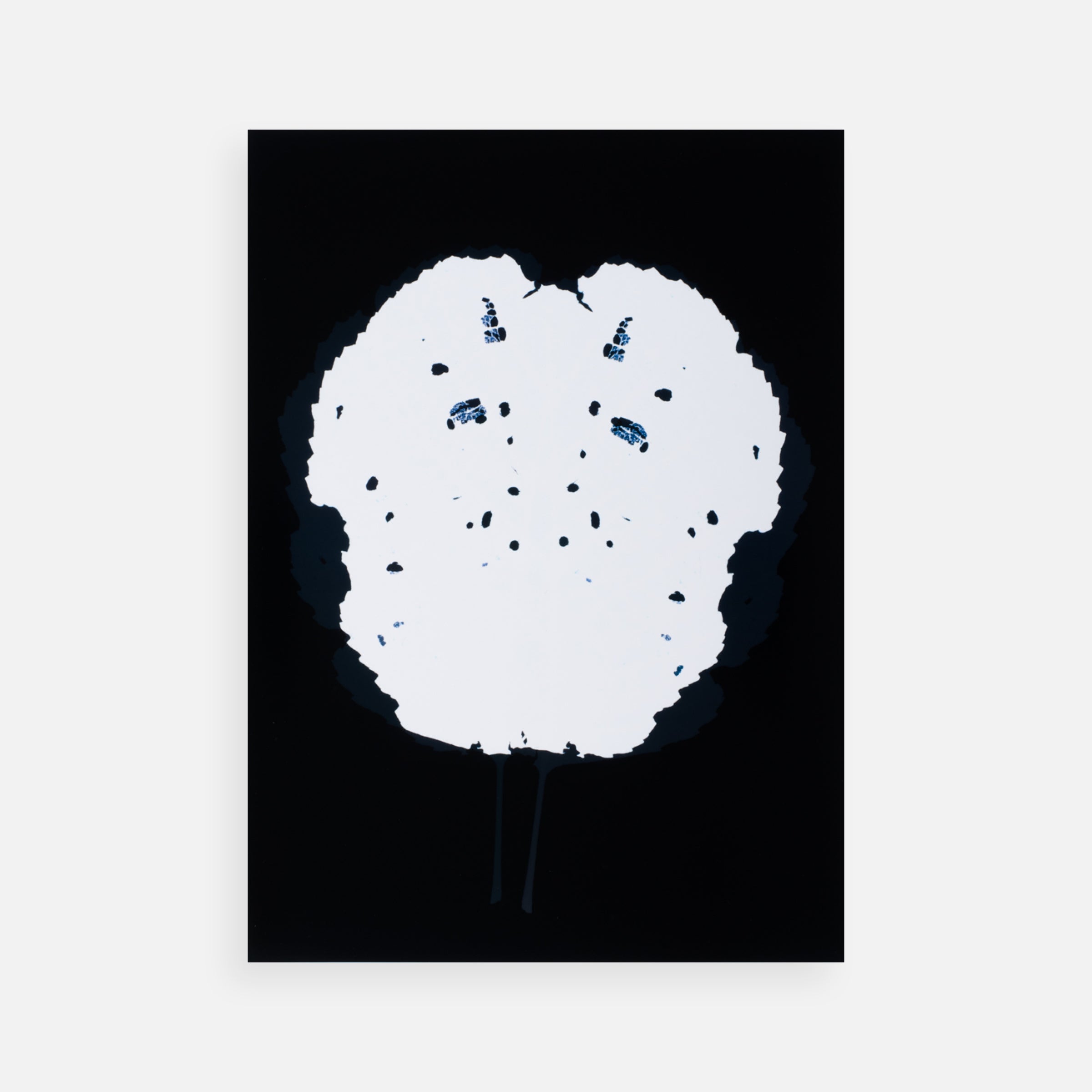 Eva-Fiore Kovacovsky: Photograms Portfolio