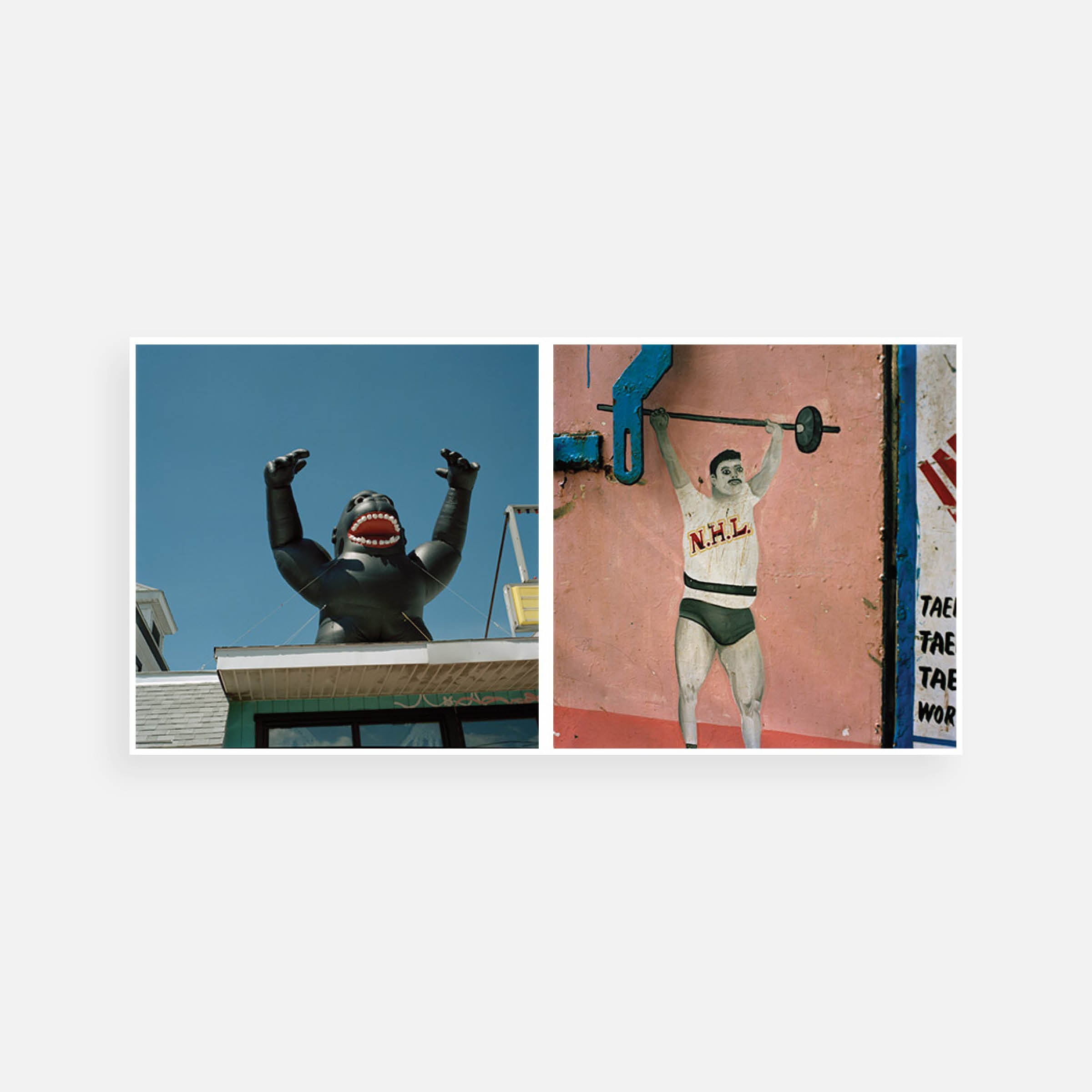 Jason Fulford: This equals That pair 3