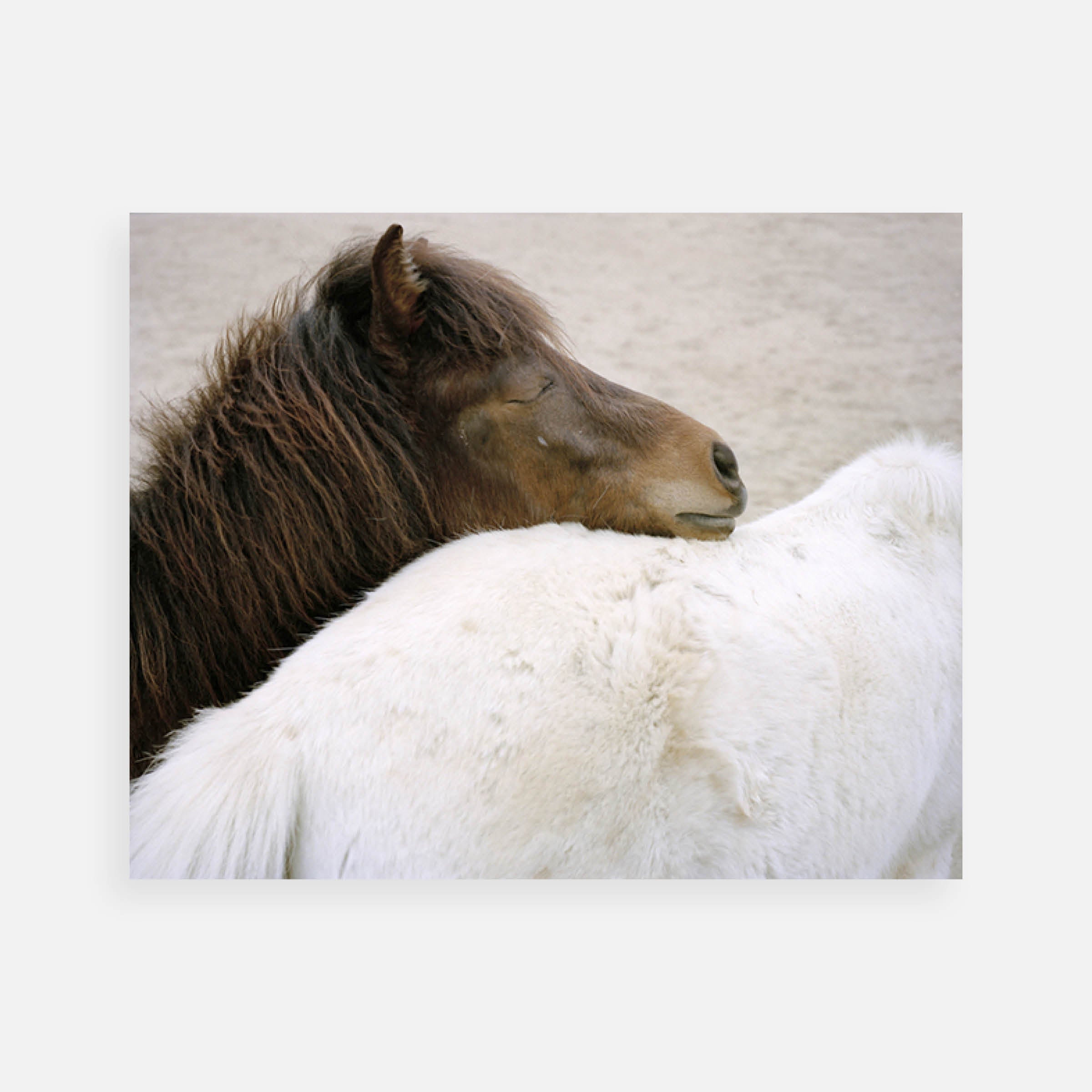 Charlotte Dumas: Imabari, Support, 2016