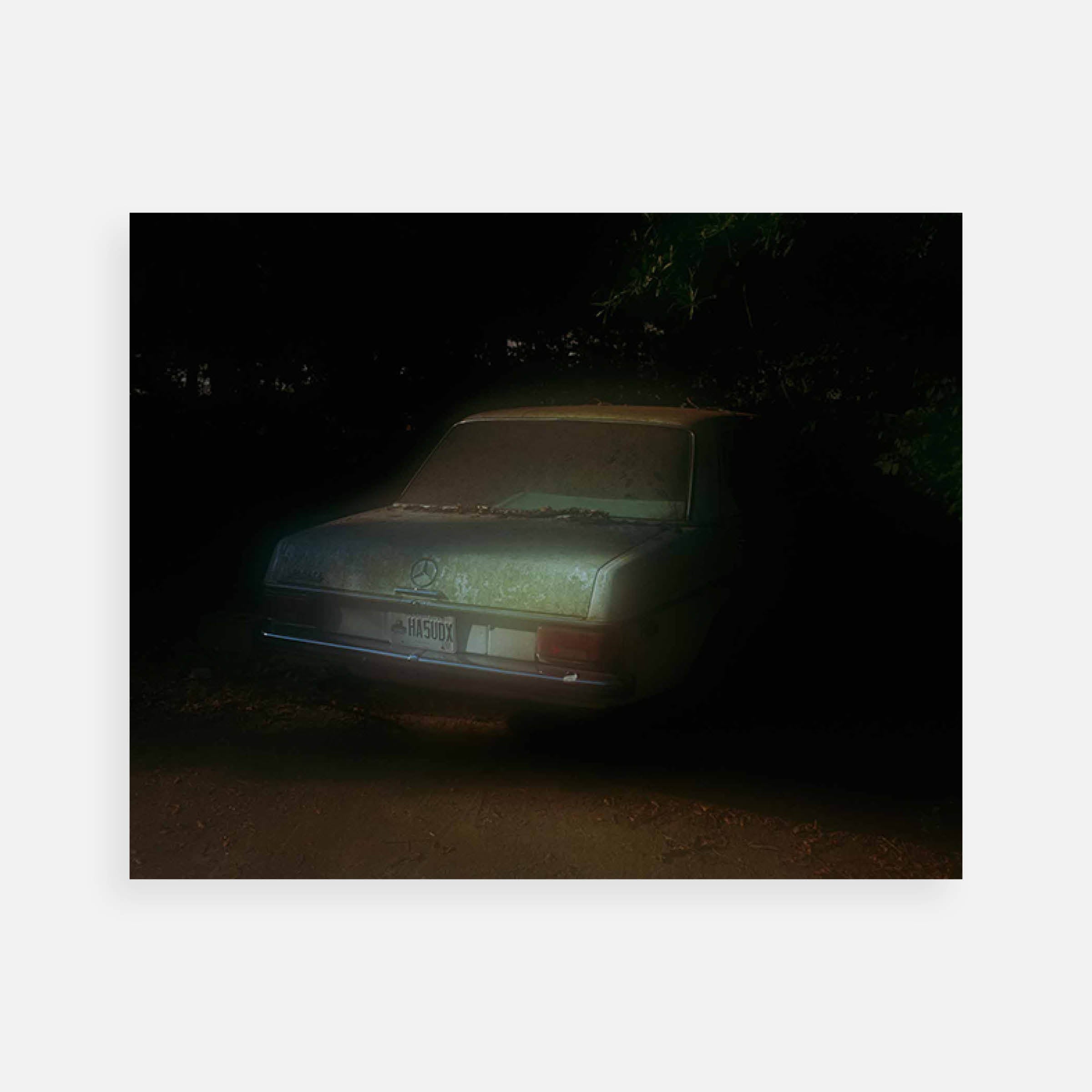 Shane Lavalette: Athens Morning, 2011