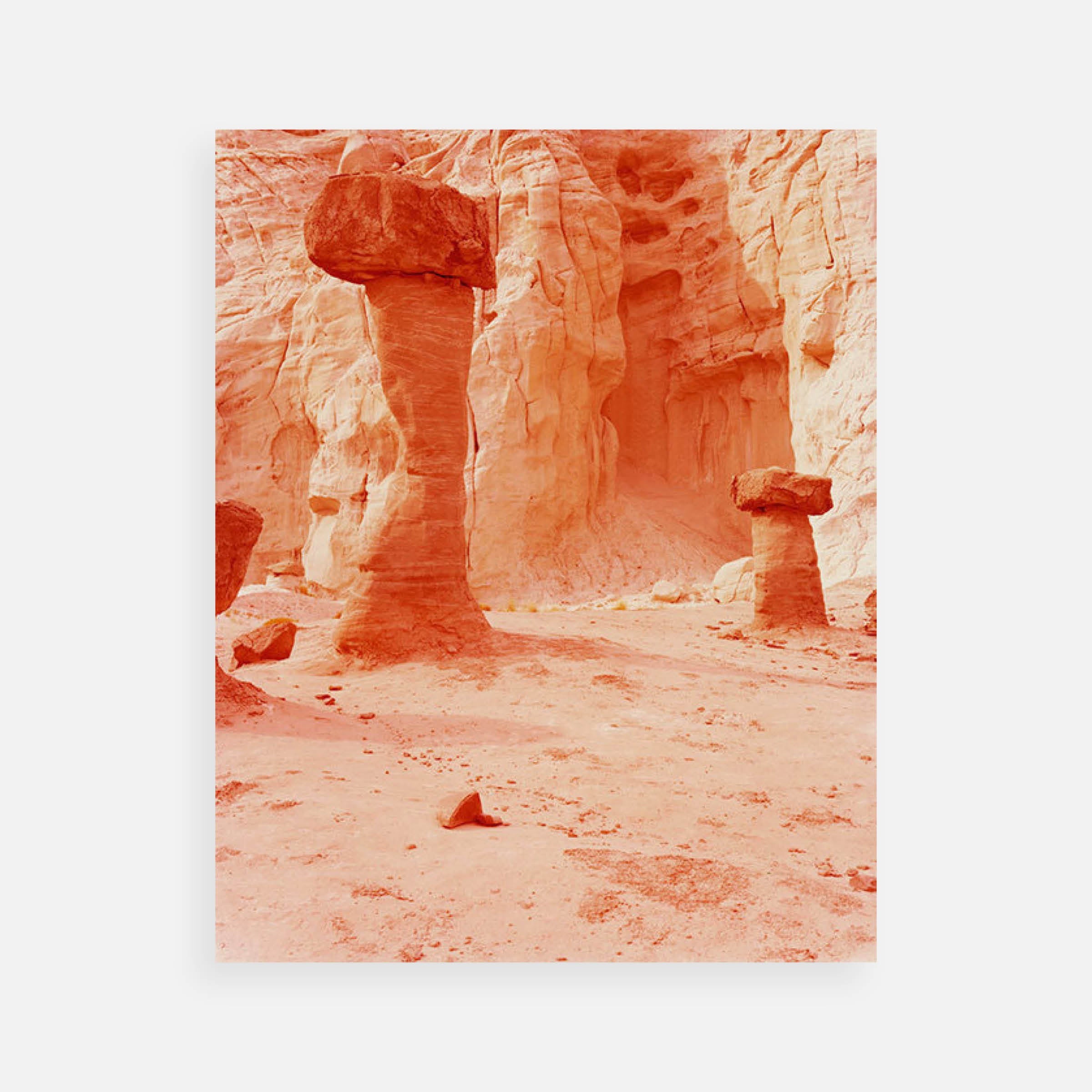 David Benjamin Sherry: Time Past and Time Future, Utah, 2014