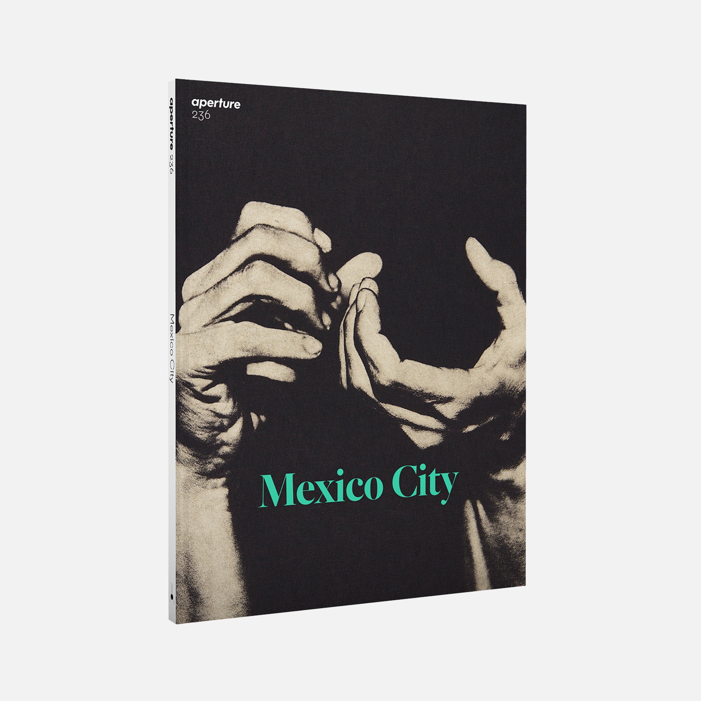 Mexico City: Aperture 236, Fall 2019
