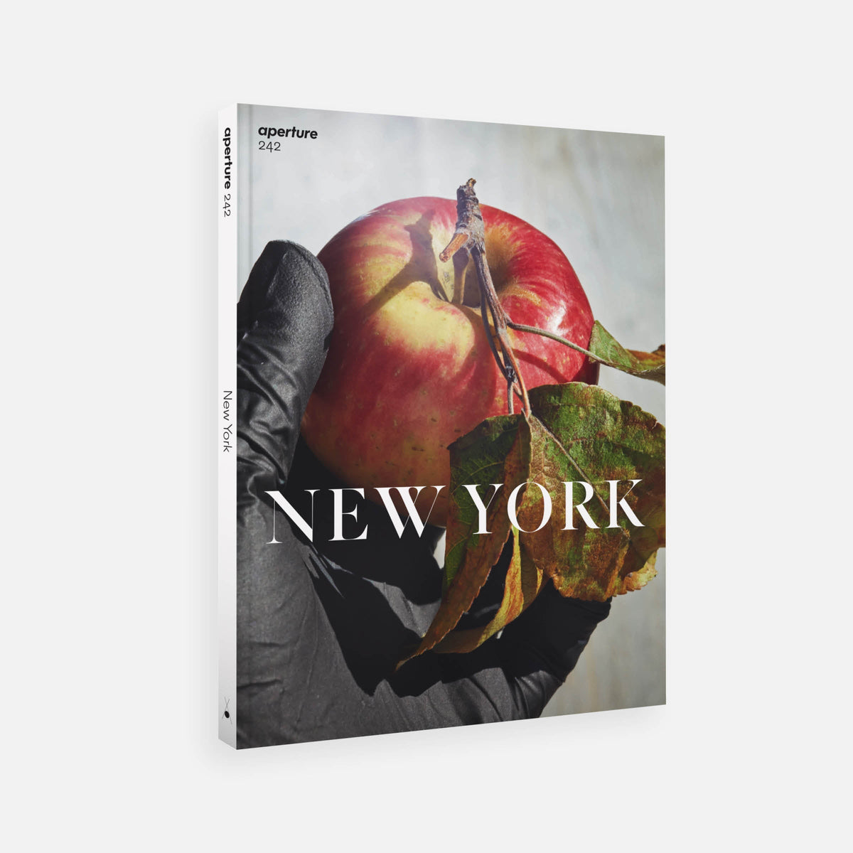 New York: Aperture 242, Spring 2021