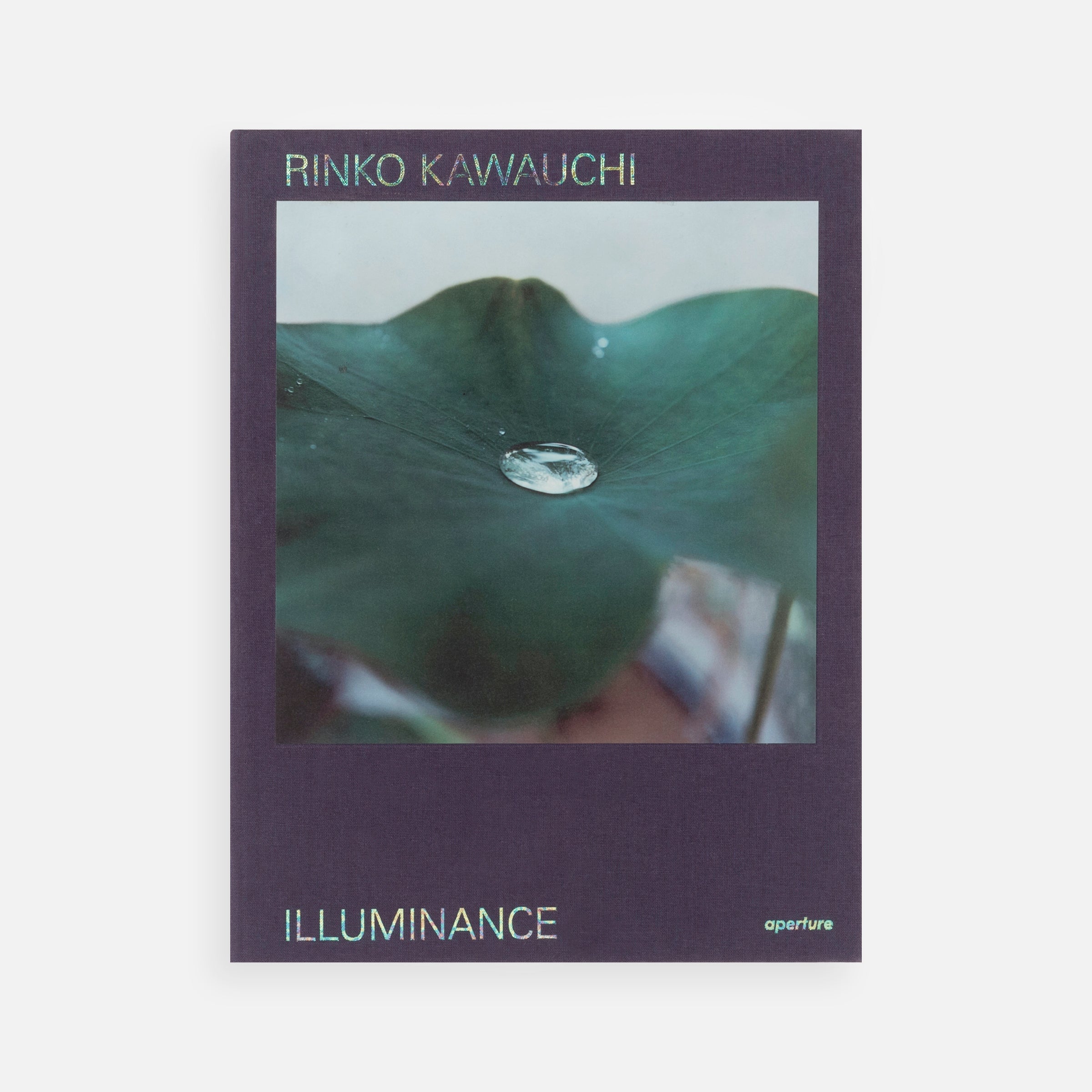 Rinko Kawauchi: Illuminance