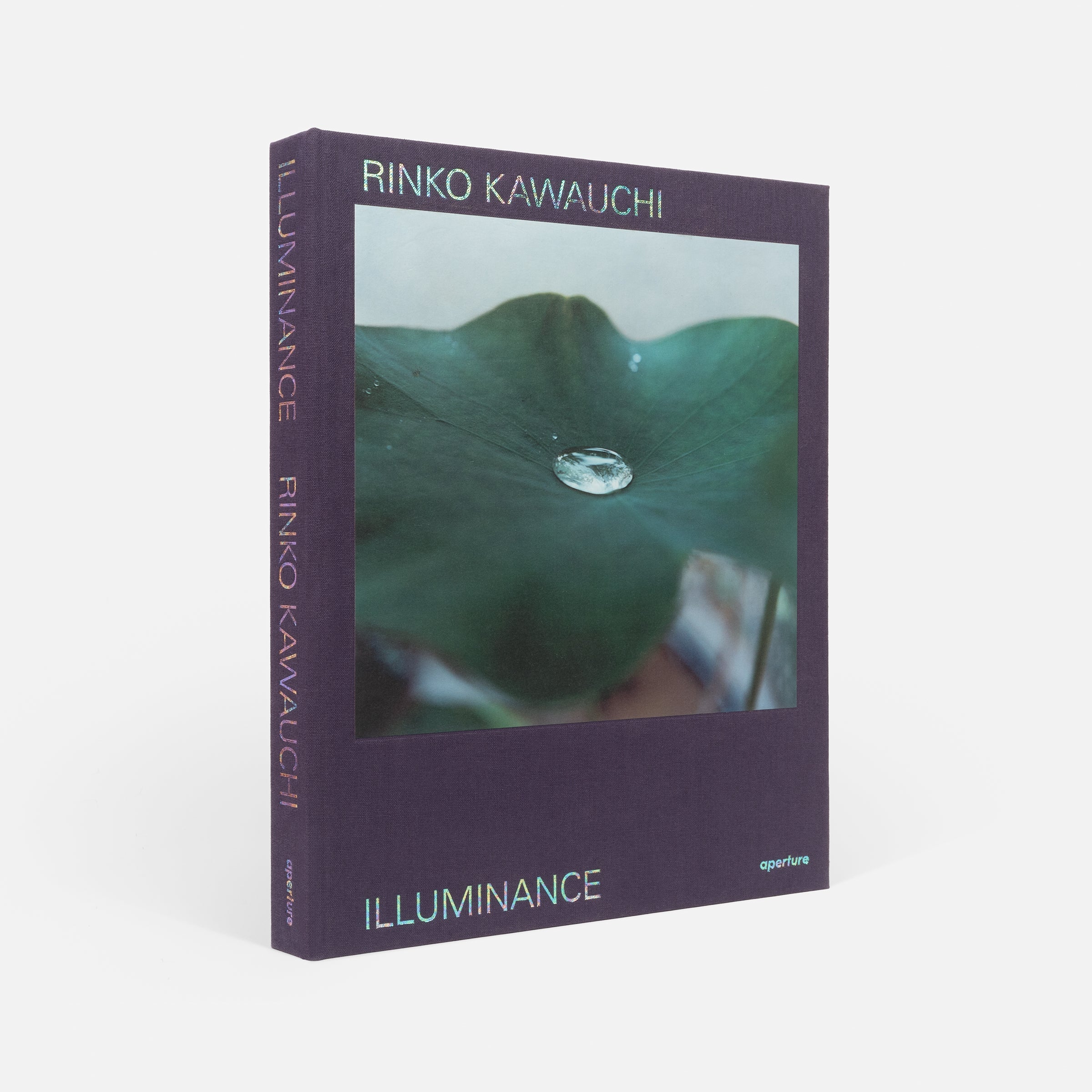 Rinko Kawauchi: Illuminance