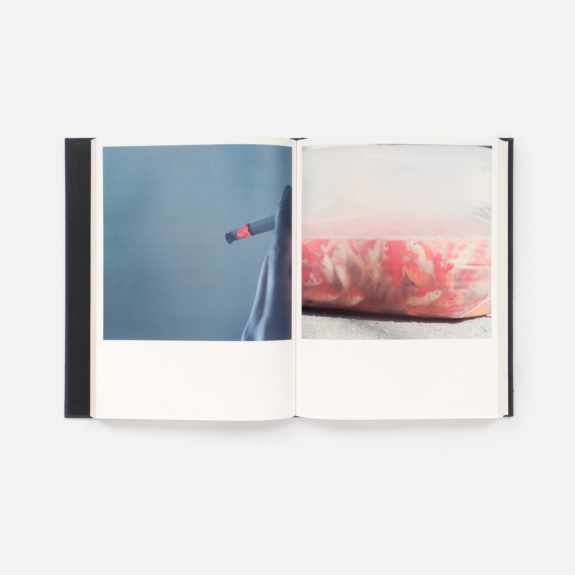 Rinko Kawauchi: Illuminance