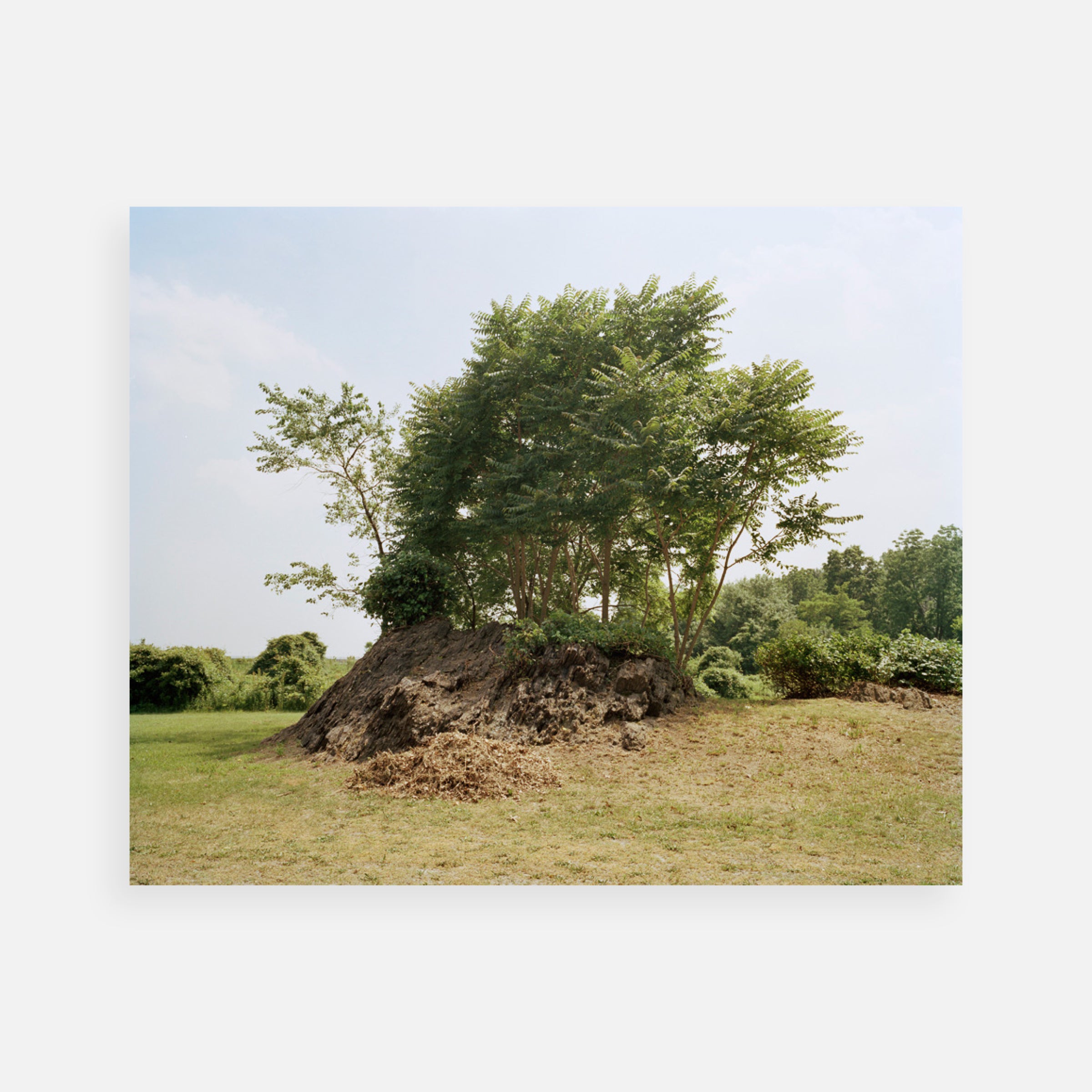 Joel Meyerowitz: The Legacy Portfolio