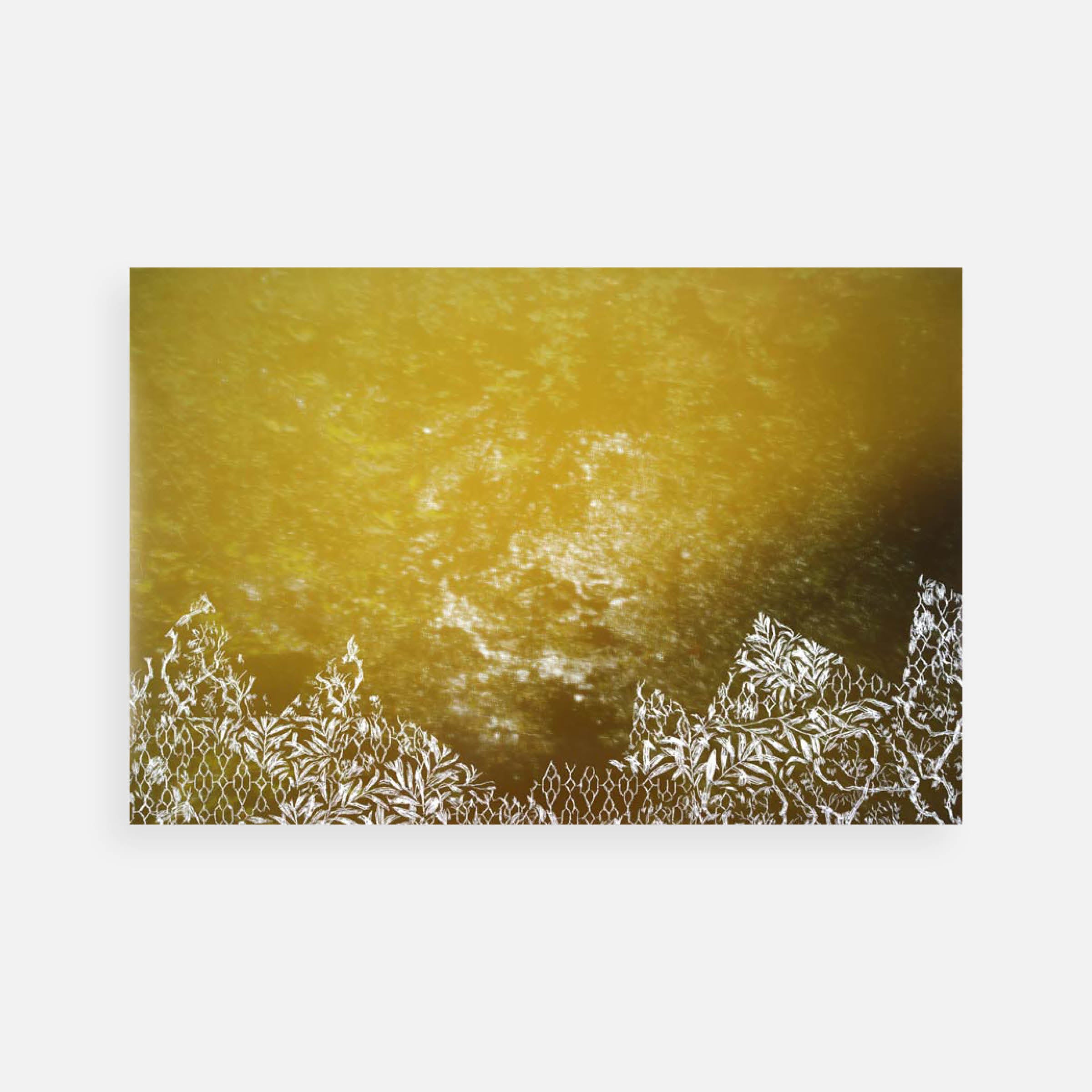Christopher Russell: The Falls (Aperture Edition #2), 2015