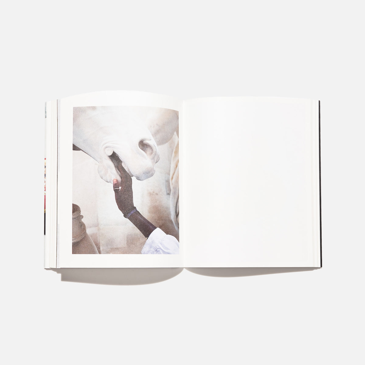 Viviane Sassen: Venus & Mercury