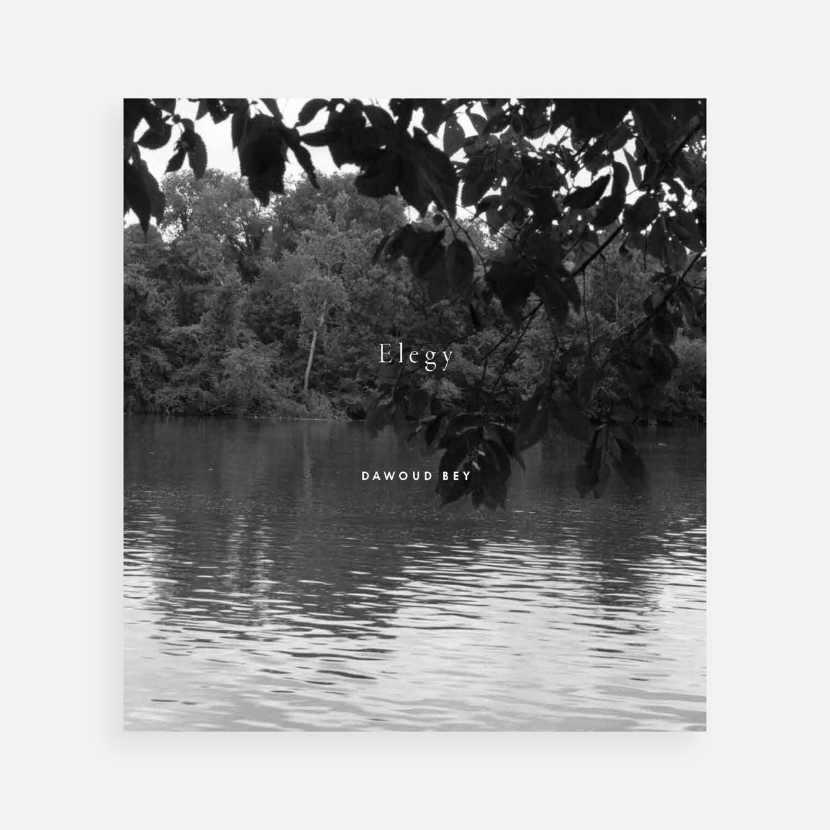 Dawoud Bey: Elegy (signed edition)