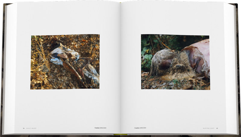 Sally Mann: The Flesh and the Spirit
