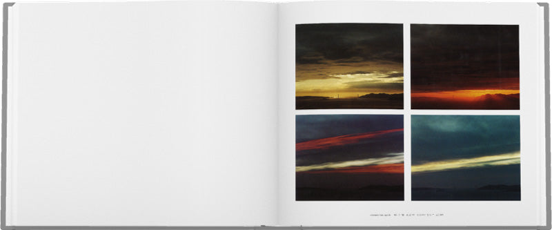 Richard Misrach: Golden Gate